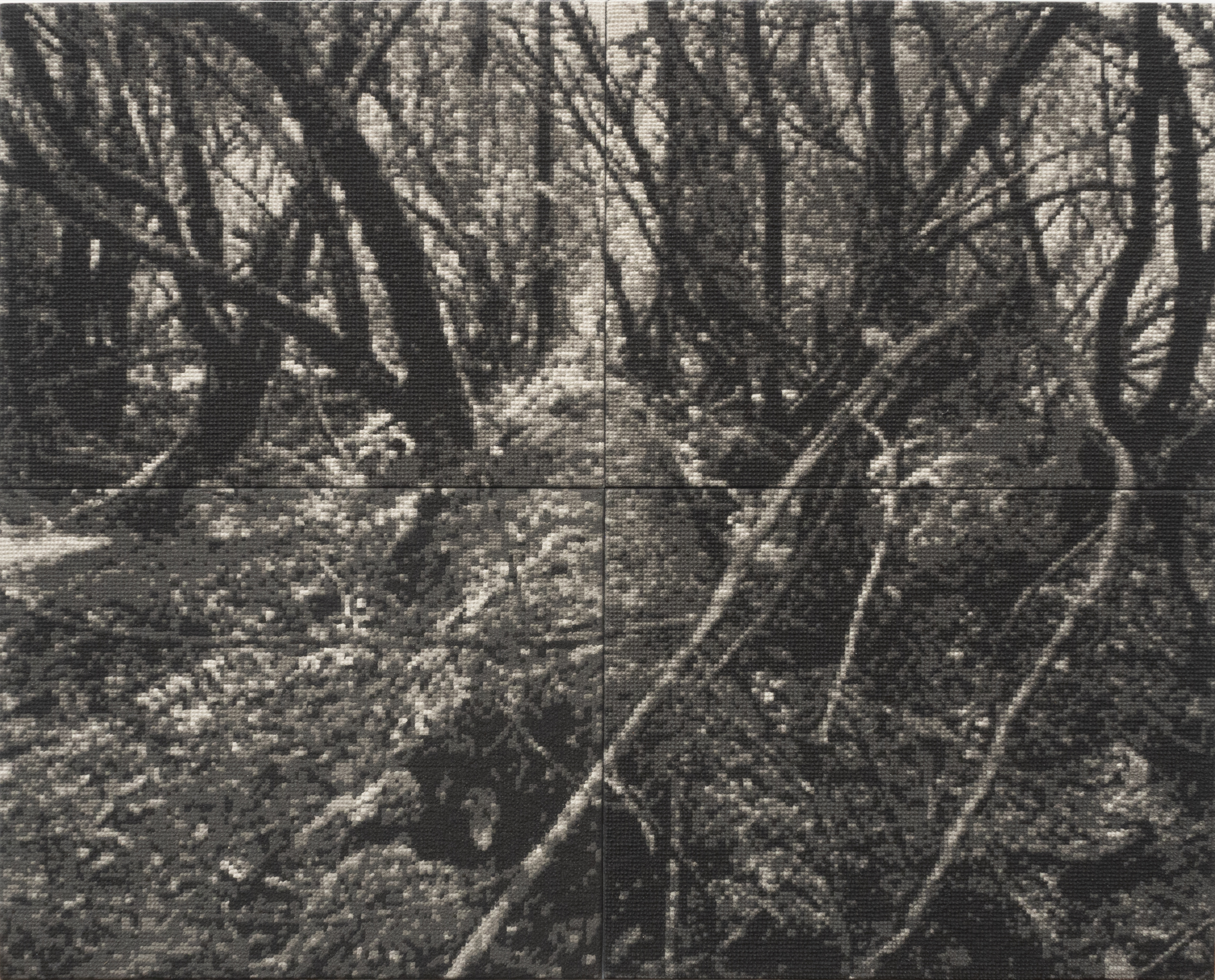 Nigel Hewitt, Tunnel Vision, 2022, ash and polymer on marine ply, 120 x 150cm