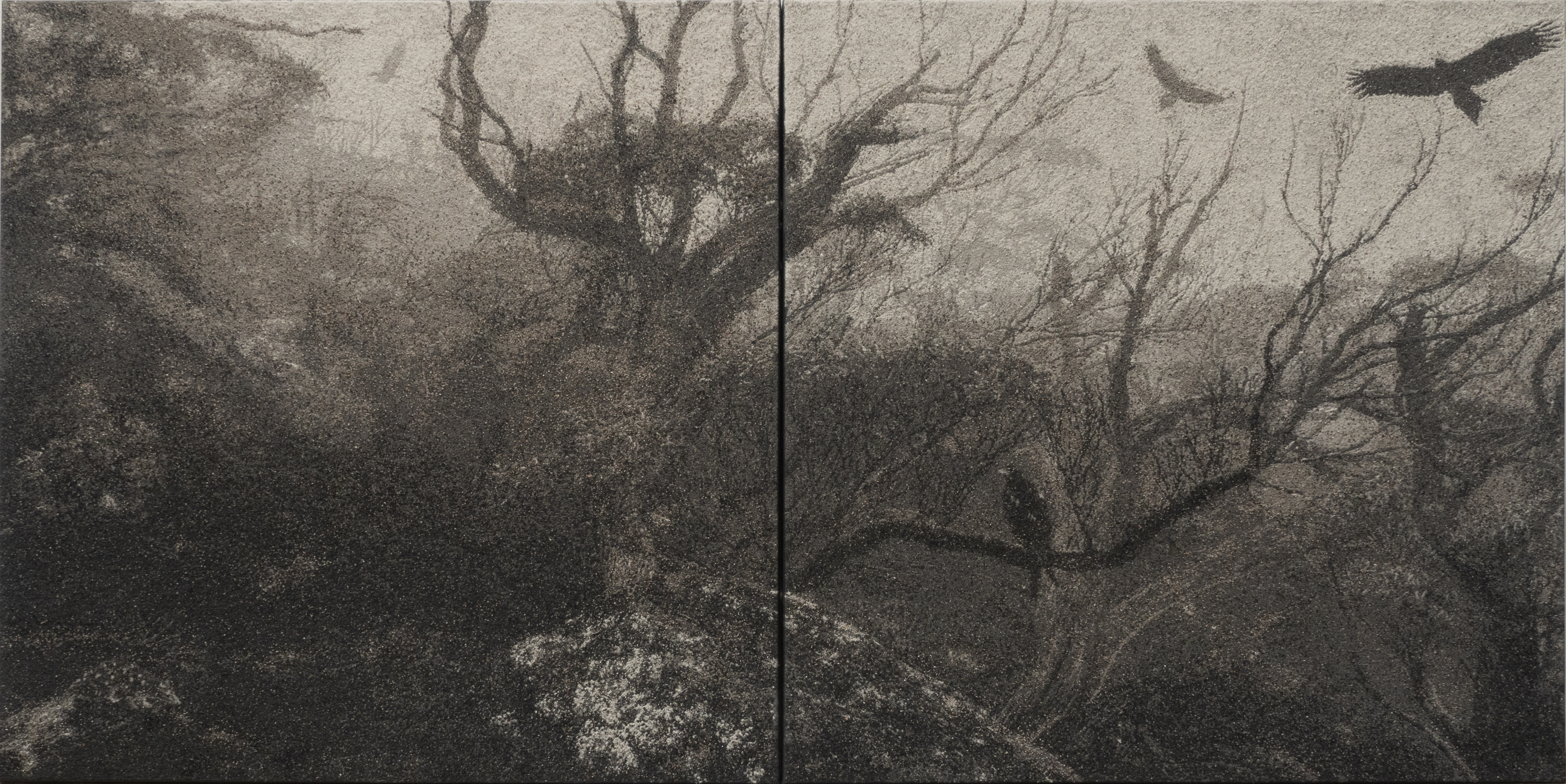 Nigel Hewitt, When the Eagles Soar IV, 2022, ash and polymer on marine ply, 91 x 184cm (2 panels)