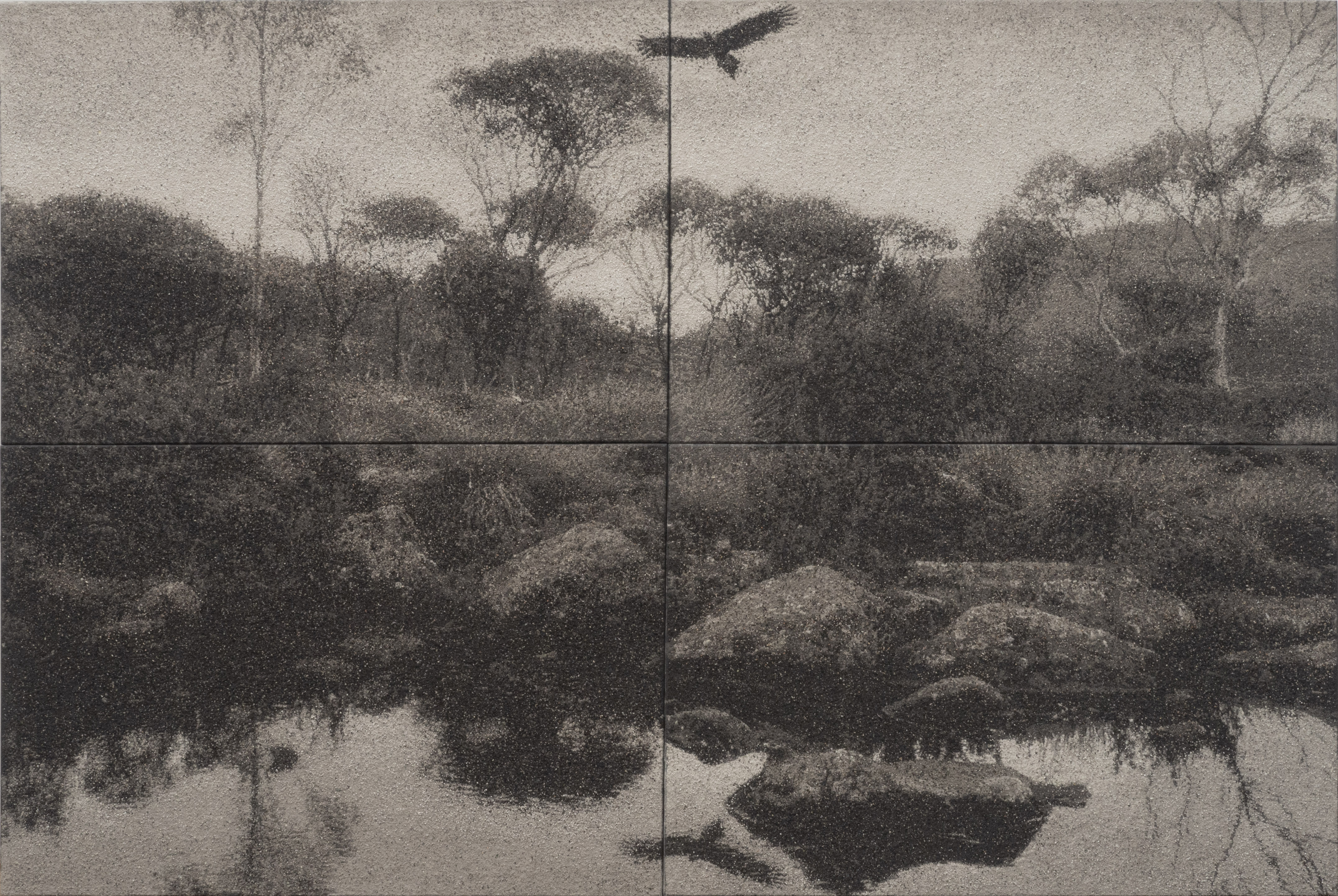 Nigel Hewitt,  When the Eagles Soar I, 2022, ash and polymer on marine ply, 100 x 150 cm