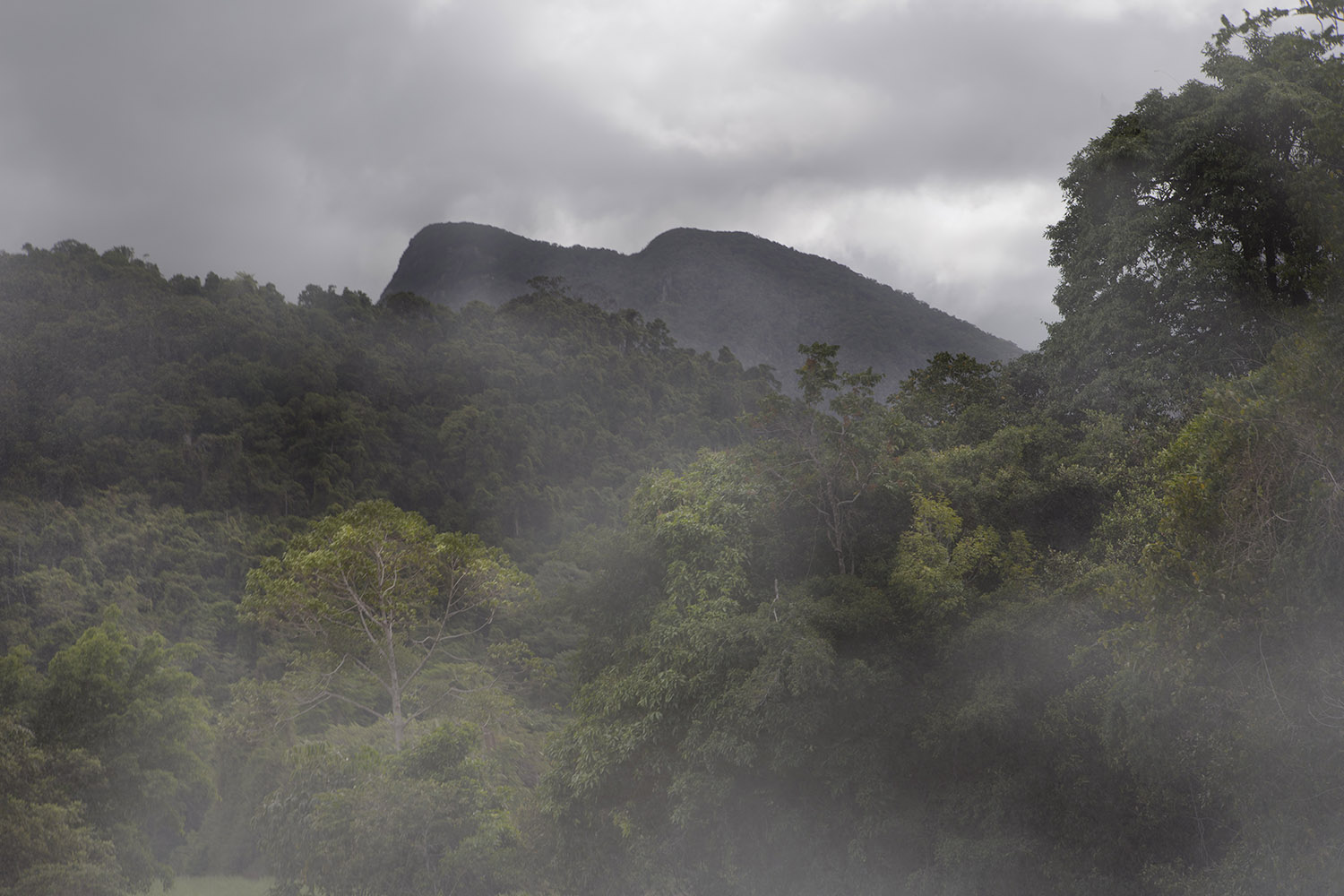 Rebecca Dagnall, Portrait of the Dead - Landscape #1, 2019-2022, archival pigment print on Canson Photographique paper, 67 x 100cm, ed. 5