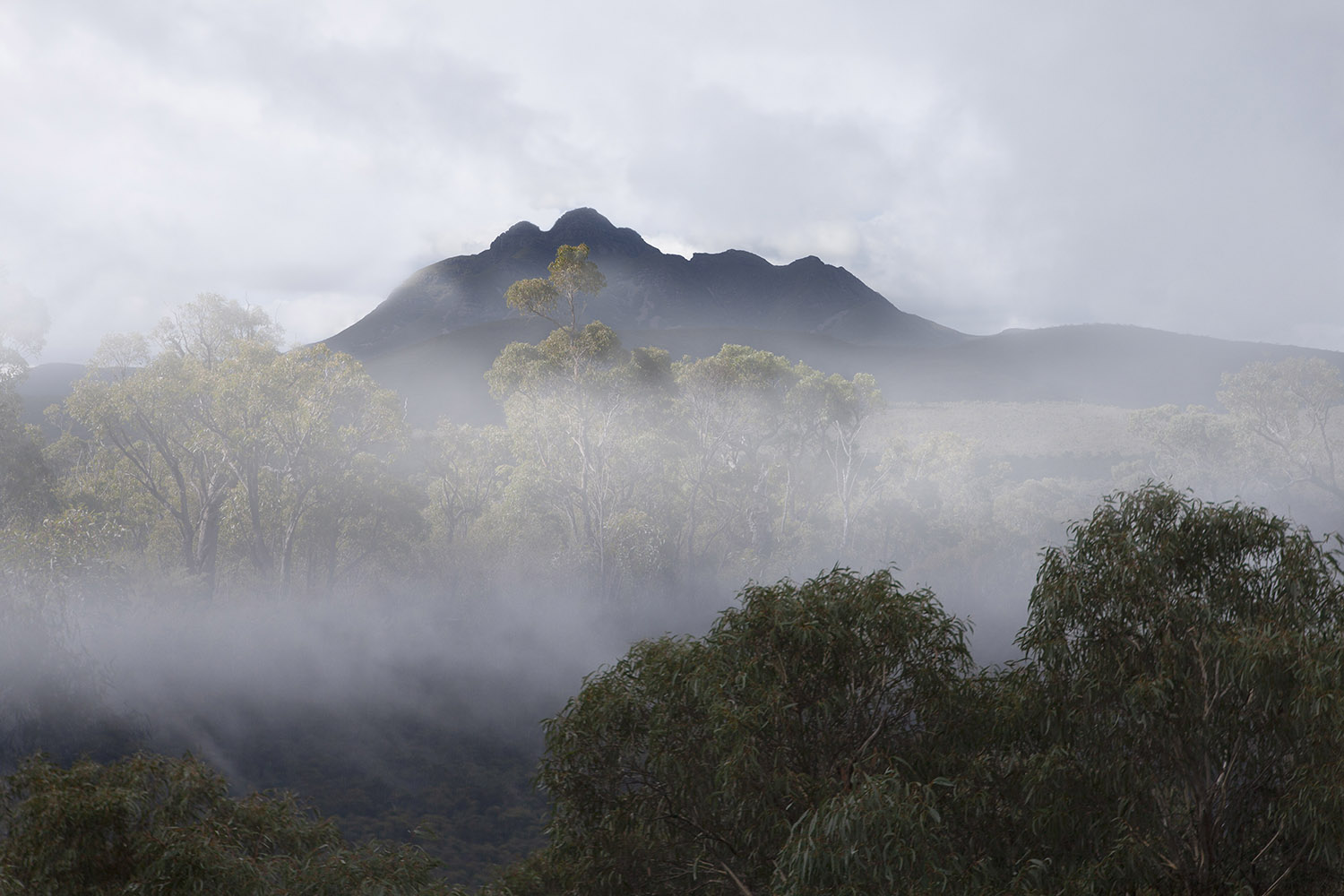 Rebecca Dagnall, Portrait of the Dead - Landscape #4, 2015-2022, archival pigment print on Canson Photographique paper, 67 x 100cm, ed. 5