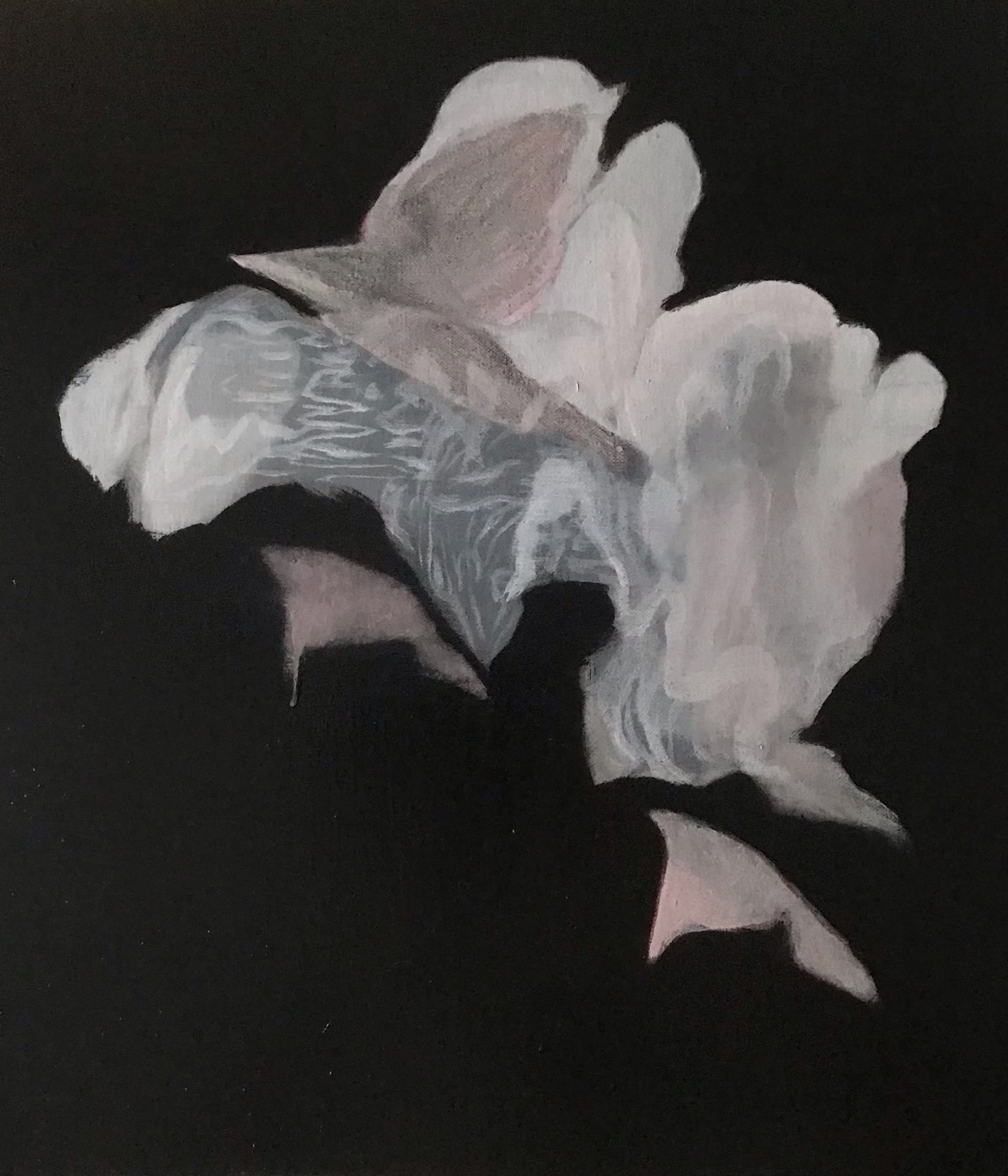 Paul Uhlmann, Bird (Smoke) Midnight, 2022, oil on canvas, 46 x 41cm