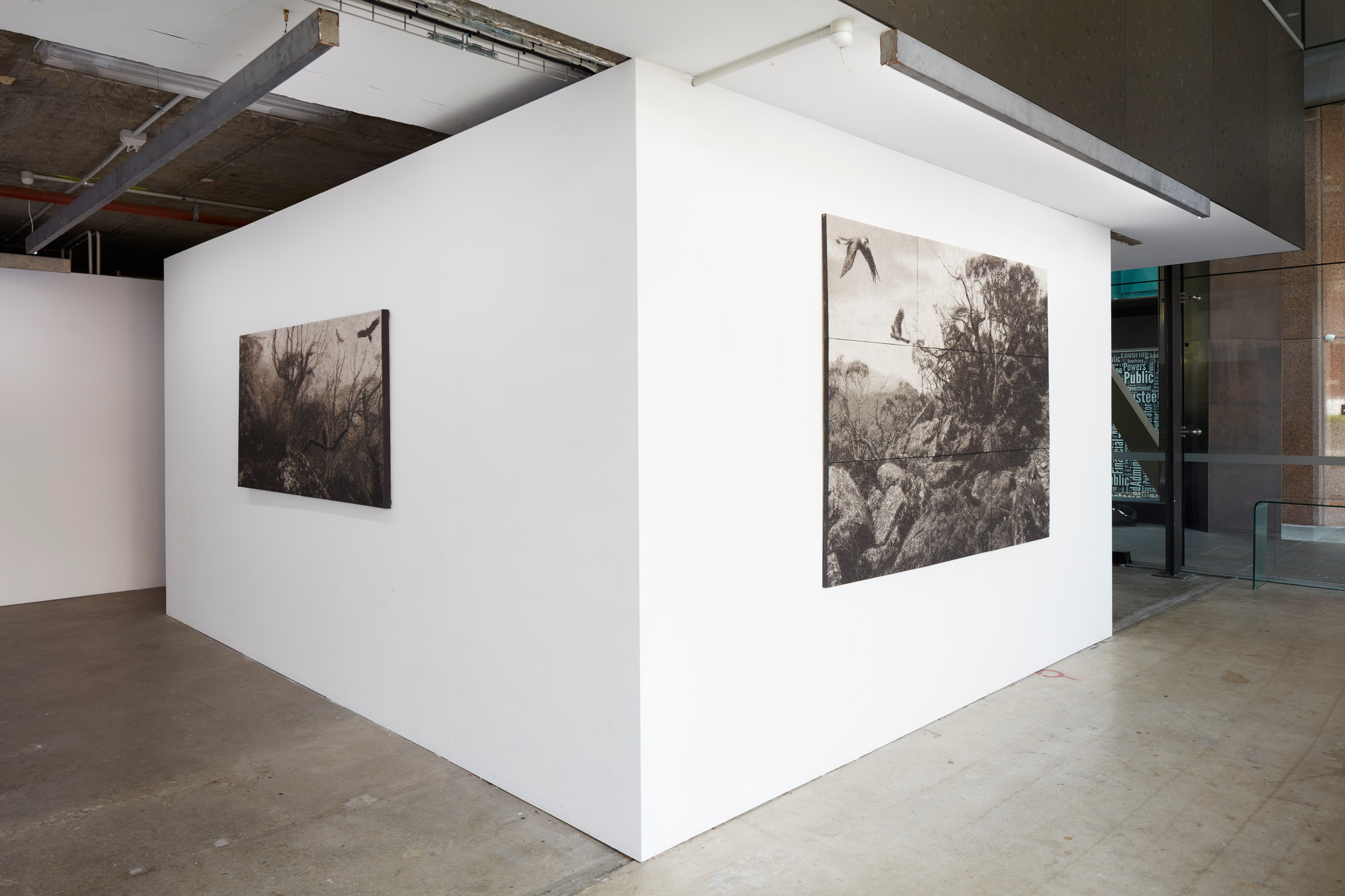 Nigel Hewitt, Echoes from the Forest, Oct-Nov 2022. Acorn photo (9)