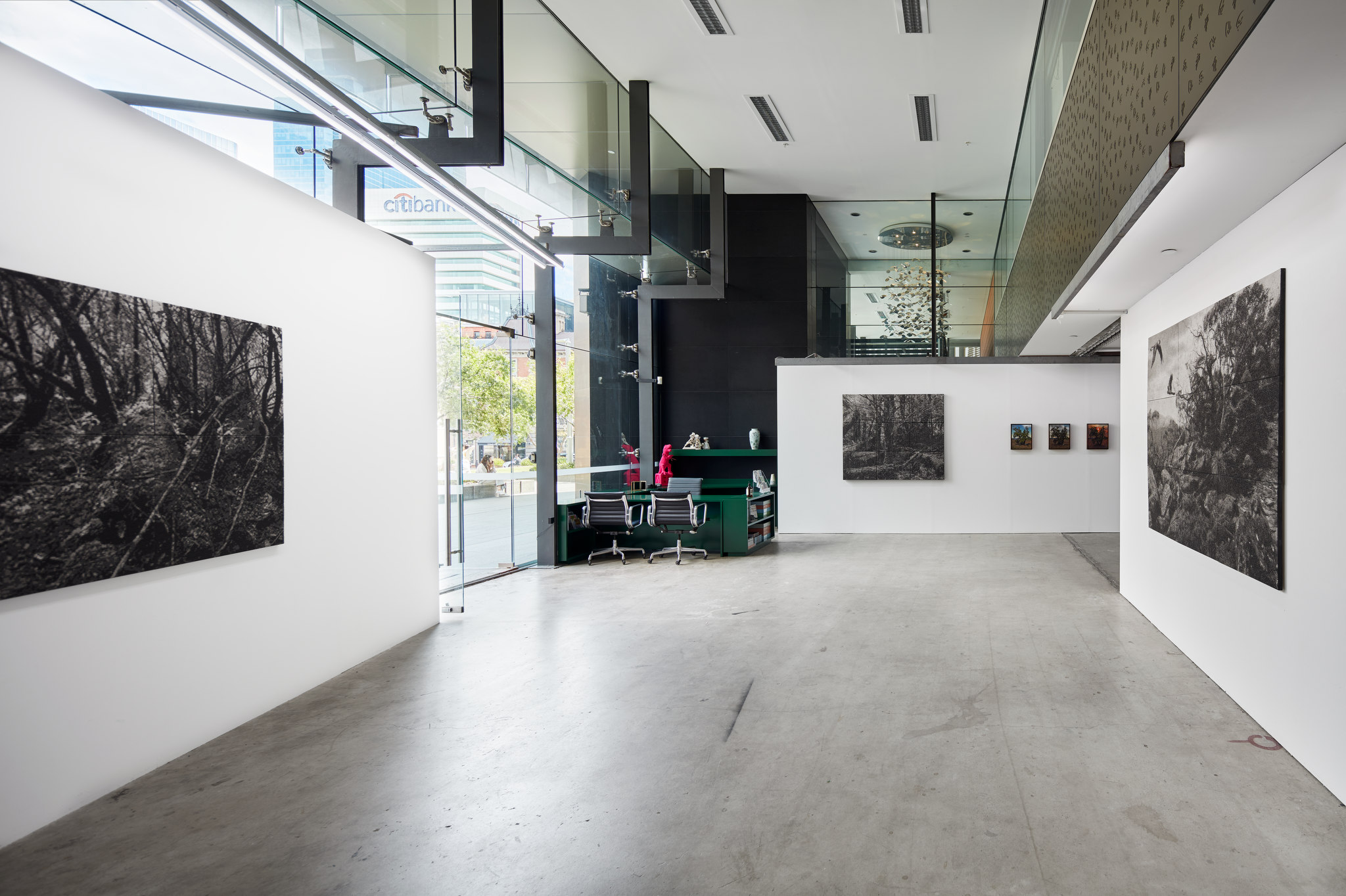 Nigel Hewitt, Echoes from the Forest, Oct-Nov 2022. Acorn photo (1)