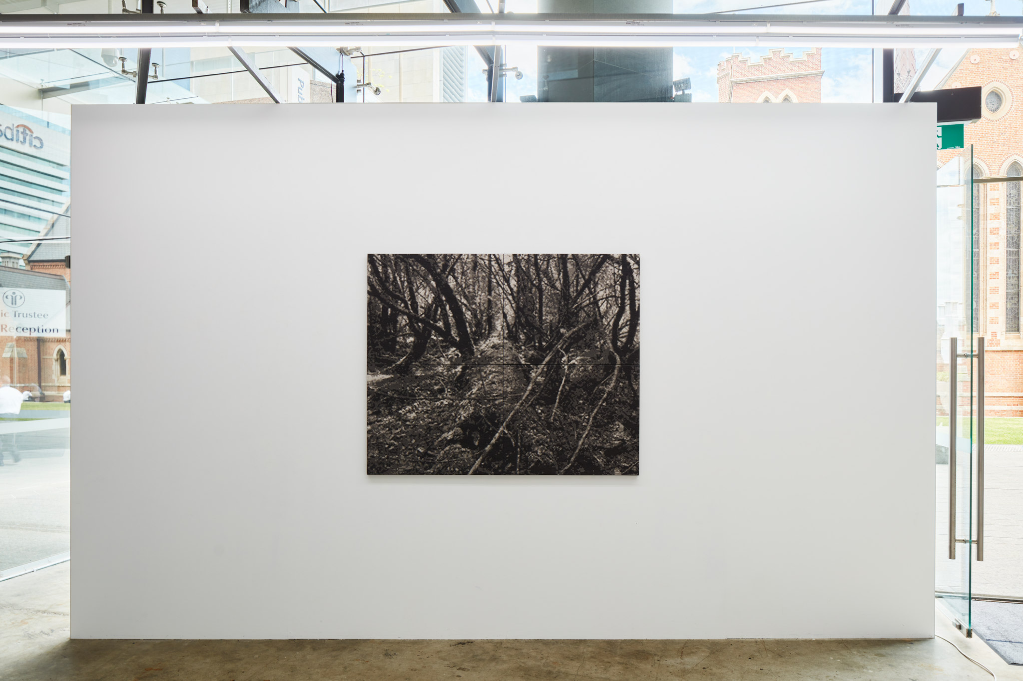 Nigel Hewitt, Echoes from the Forest, Oct-Nov 2022. Acorn photo (3)