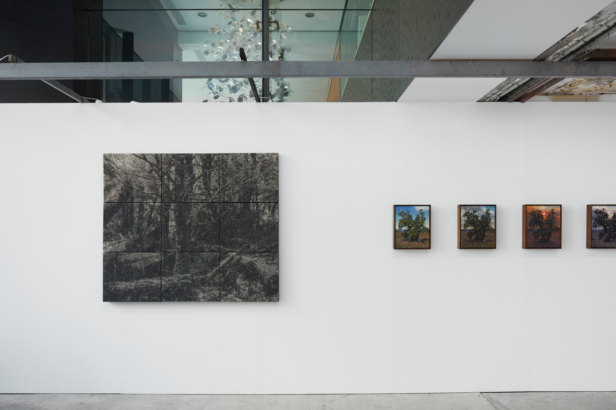 Nigel Hewitt, Echoes from the Forest, Oct-Nov 2022. Acorn photo (7)