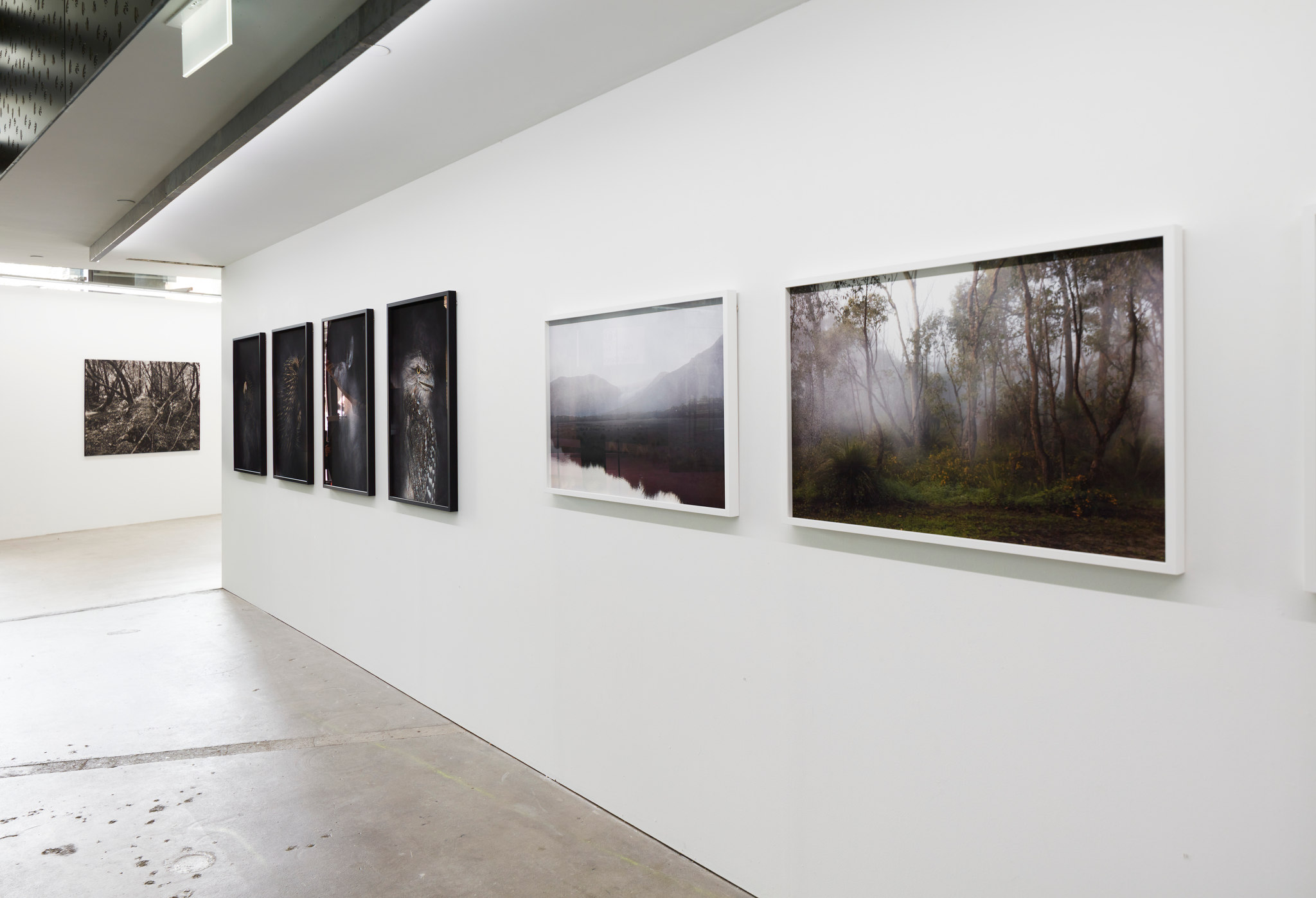 Rebecca Dagnall, Portraits of the Dead, Oct-Nov 2022. Acorn Photo (4)