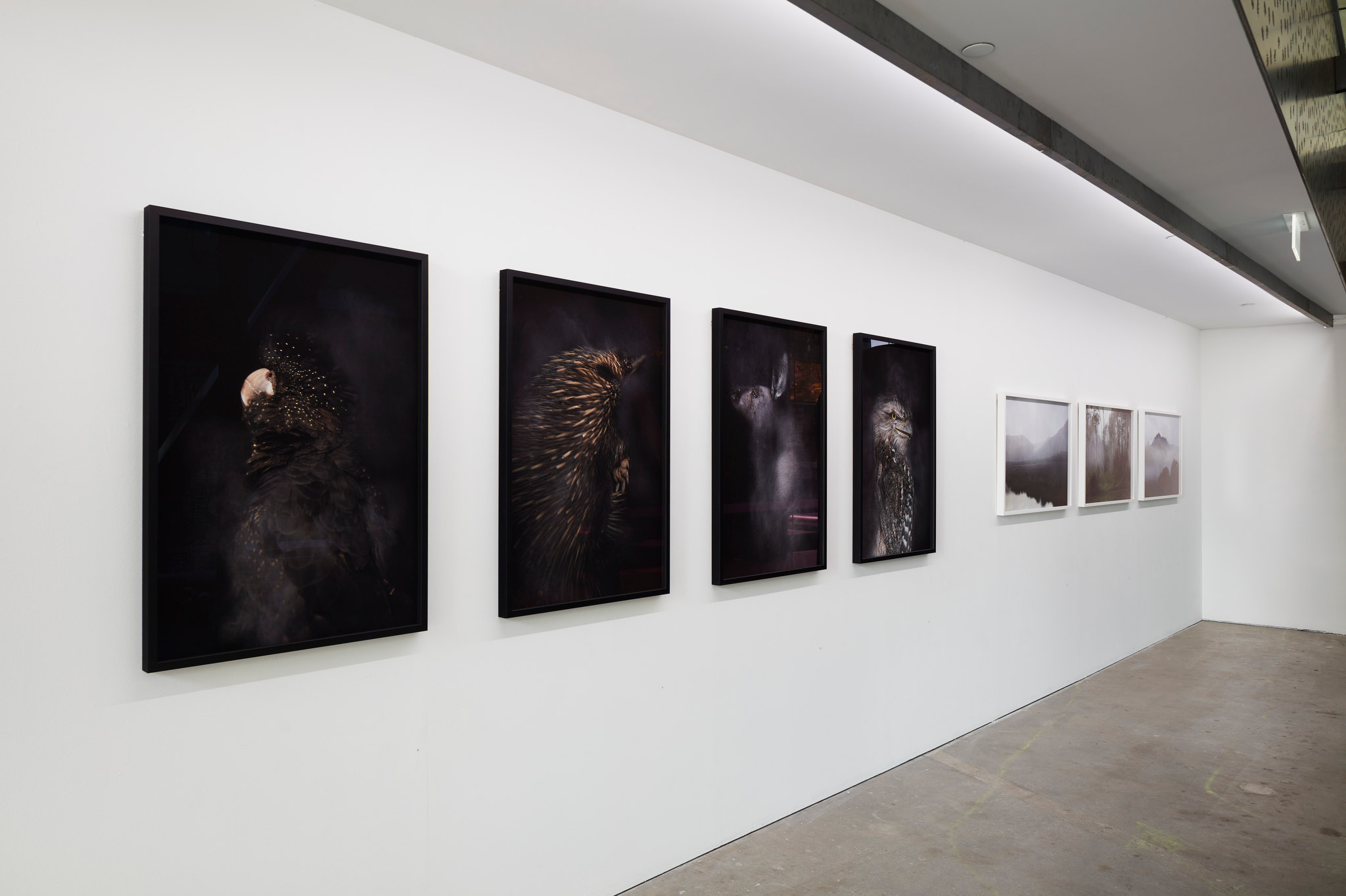 Rebecca Dagnall, Portraits of the Dead, Oct-Nov 2022. Acorn Photo (2)