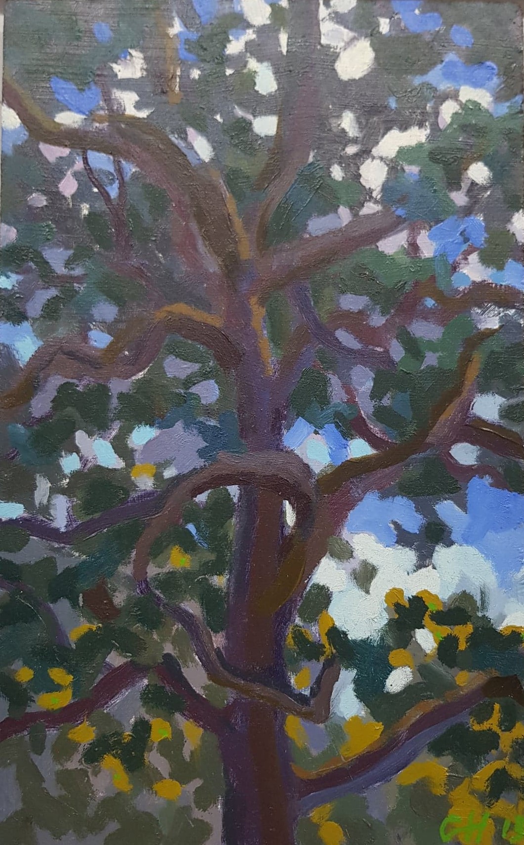 George Haynes, Red Gum, 2013, oil on board, 33.5 x 20cm