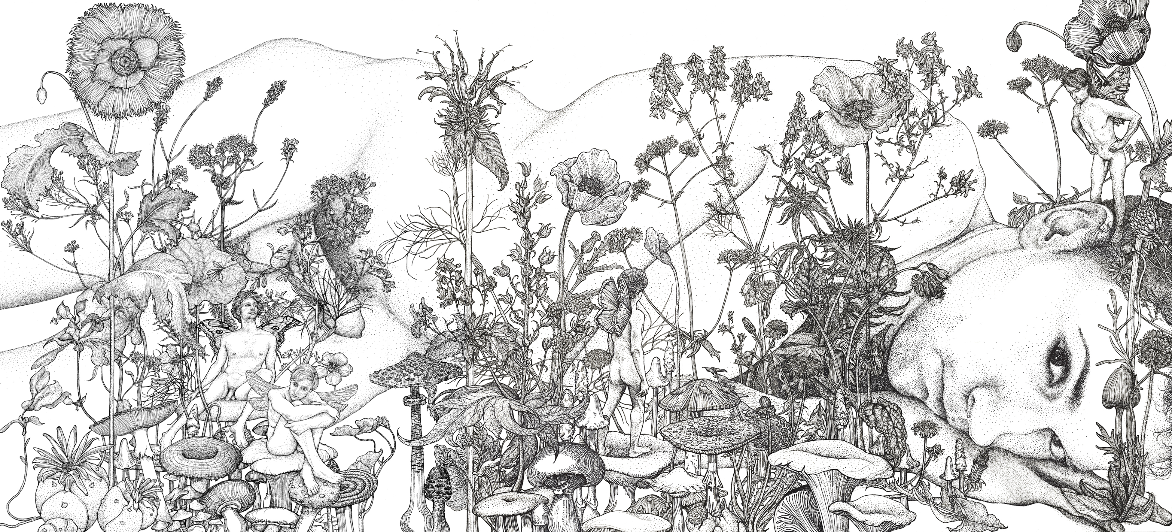 Andrew Nicholls, Self-Portrait with Magickal and Medicinal Plants, 2014, archival ink pen on watercolour paper, 57 x 76cm (each, 3 panels)