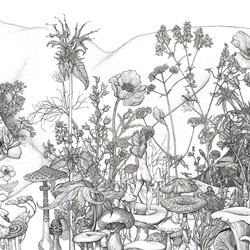 Andrew Nicholls, Self-Portrait with Magickal and Medicinal Plants, 2014, archival ink pen on watercolour paper, 57 x 76cm (each, 3 panels)