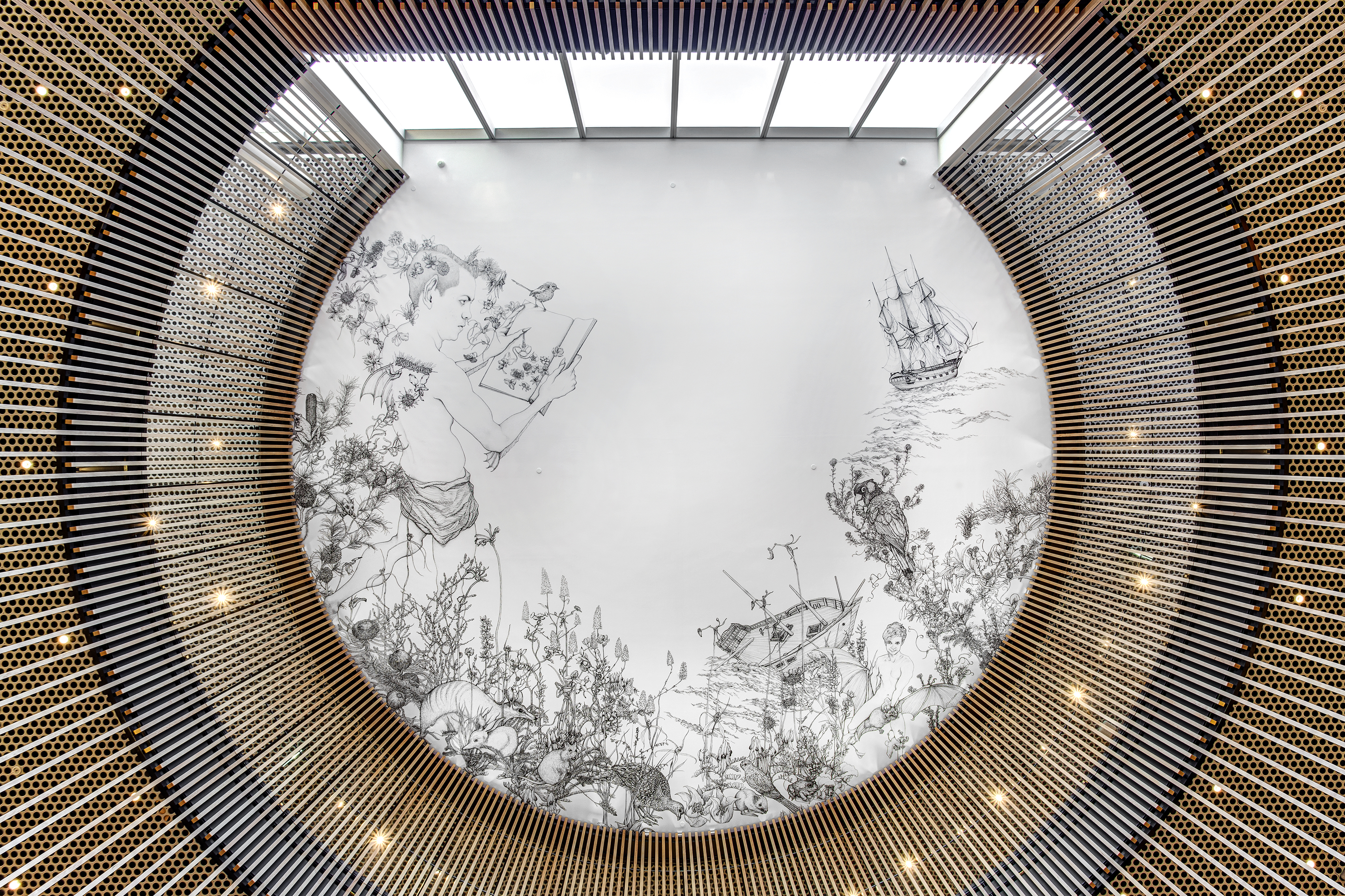 Andrew Nicholls, Delight and Hurt Not, 2016, commissioned ceiling mural for City of Perth Library, 1100 x 1430cm (approx.). Photo B. Shaylor, courtesy City of Perth Art Collection