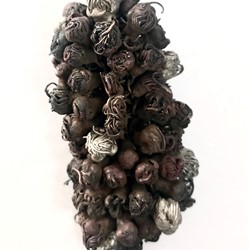 Sarah Elson, Allelopathic Chain 1 (Bottle Brush), 2022, recycled silver and copper, 8 x 3.5 x 2.5cm