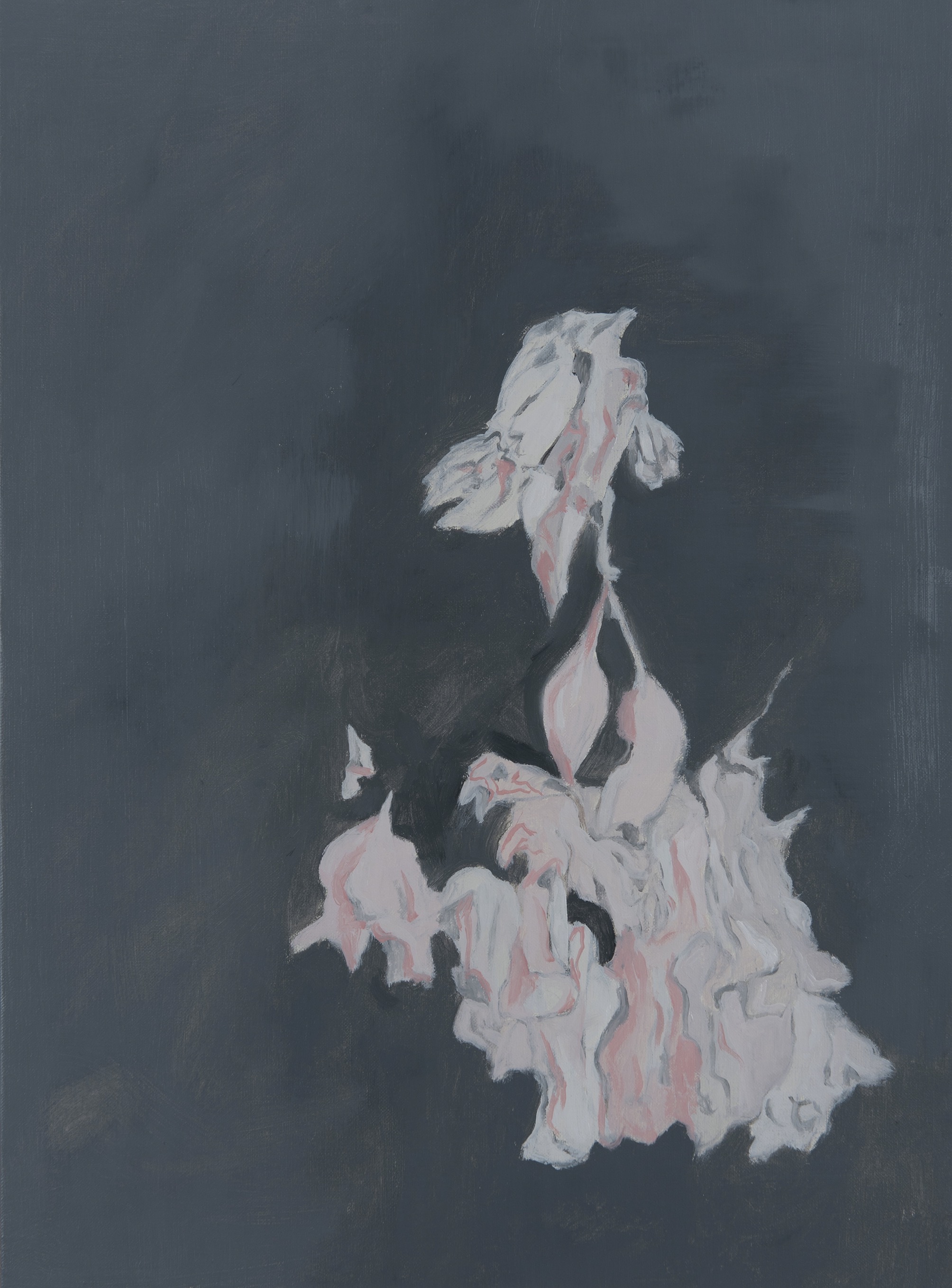 Paul Uhlmann, Ghosts (Flowers) II, 2022, oil on canvas, 51 x 36cm