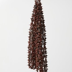 Sarah Elson, Prior to Allelopathy (spider gum chain mail), 2021, recycled copper