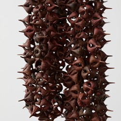 Sarah Elson, Prior to Allelopathy (spider gum chain mail) (detail), 2021, recycled copper