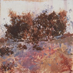 Merrick Belyea, Abandoned Fruit Trees, West Talbot Road, 2023, oil on board, 40 x 40cm