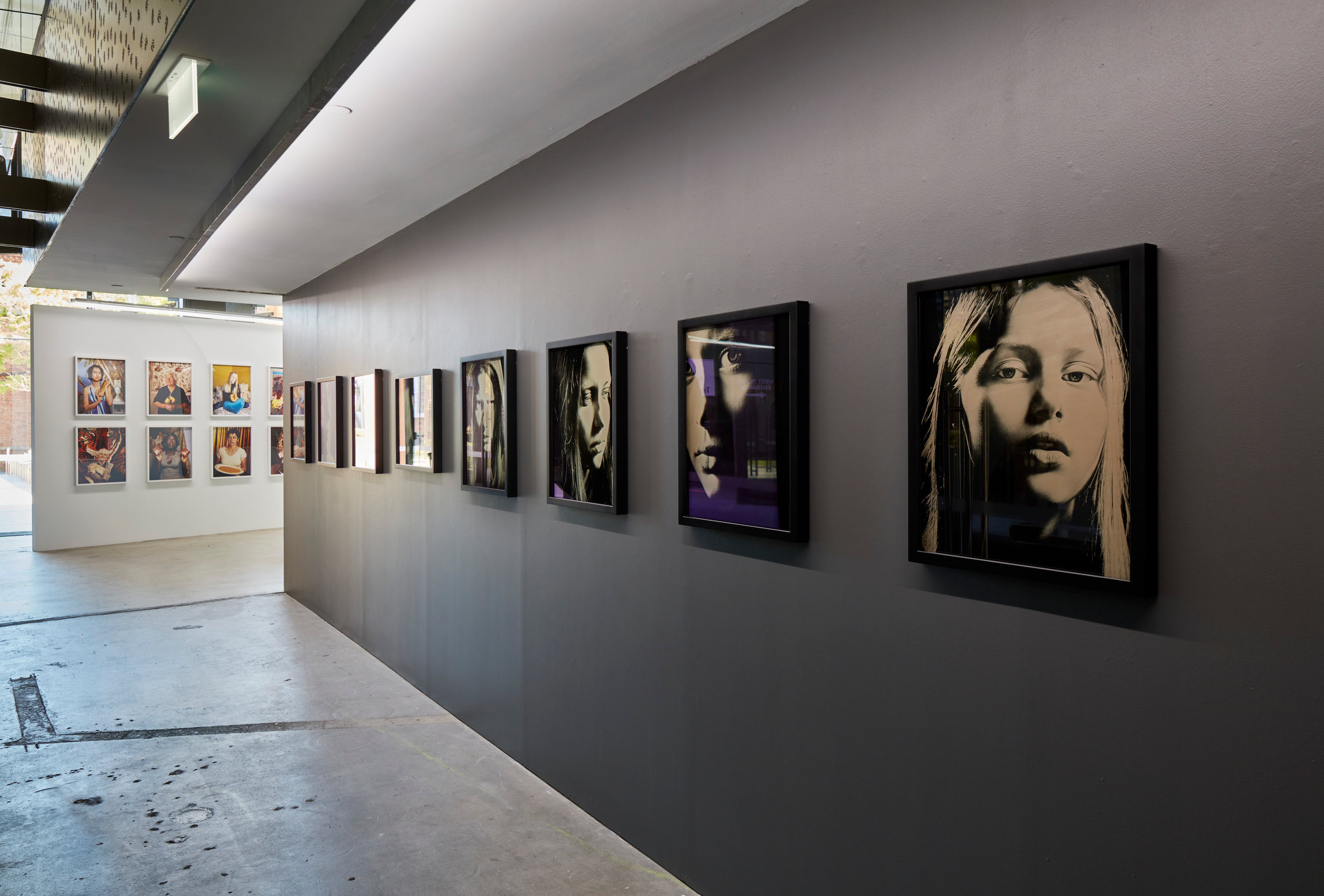 Connie Petrillo, Sublime Peril and Toni Wilkinson, Tough Pleasures, 2023. Installation view Acorn Photo