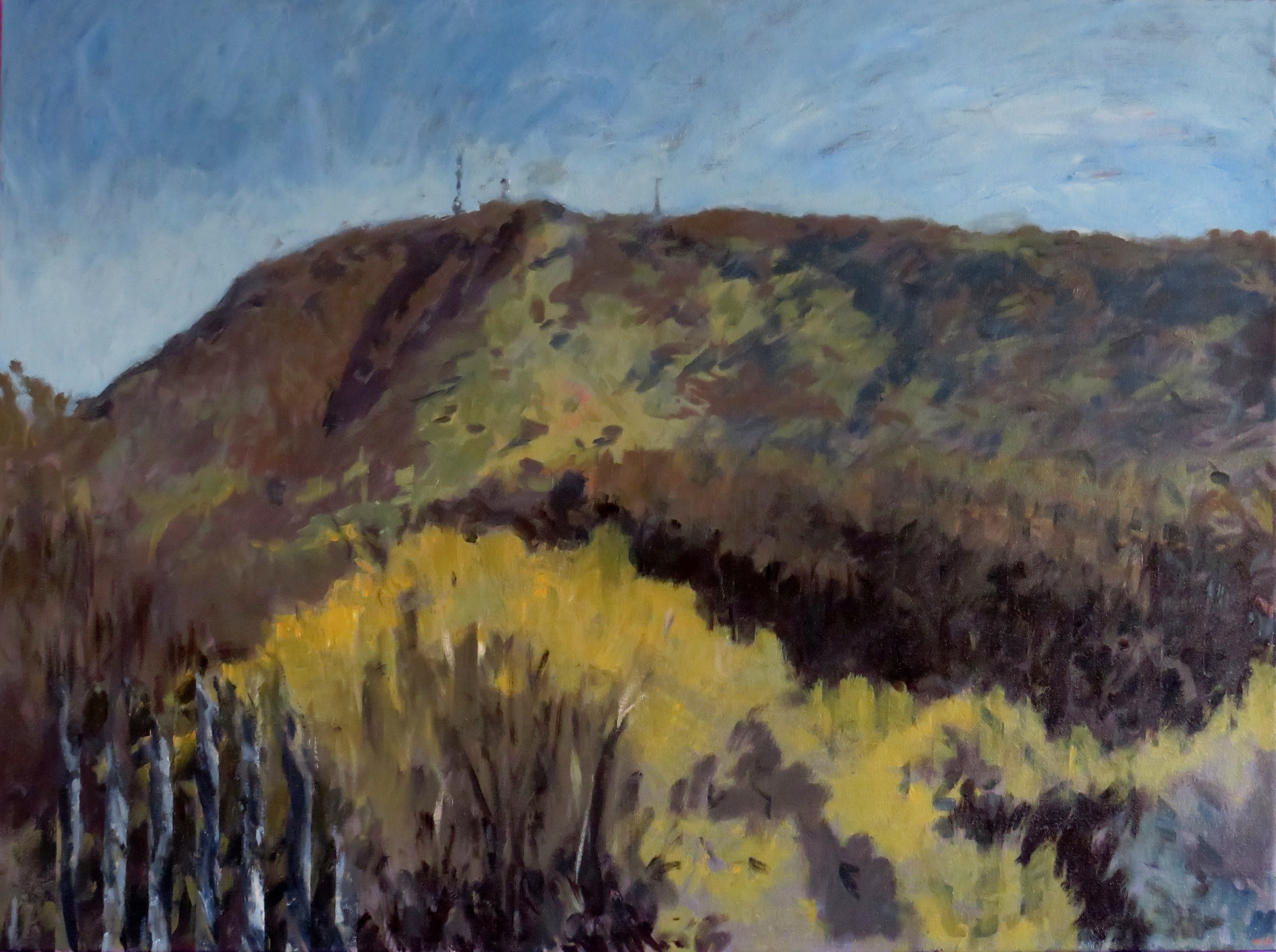 Kevin Robertson, Signals, Red Swamp, York, 2020, acrylic on canvas, 76 x 102cm