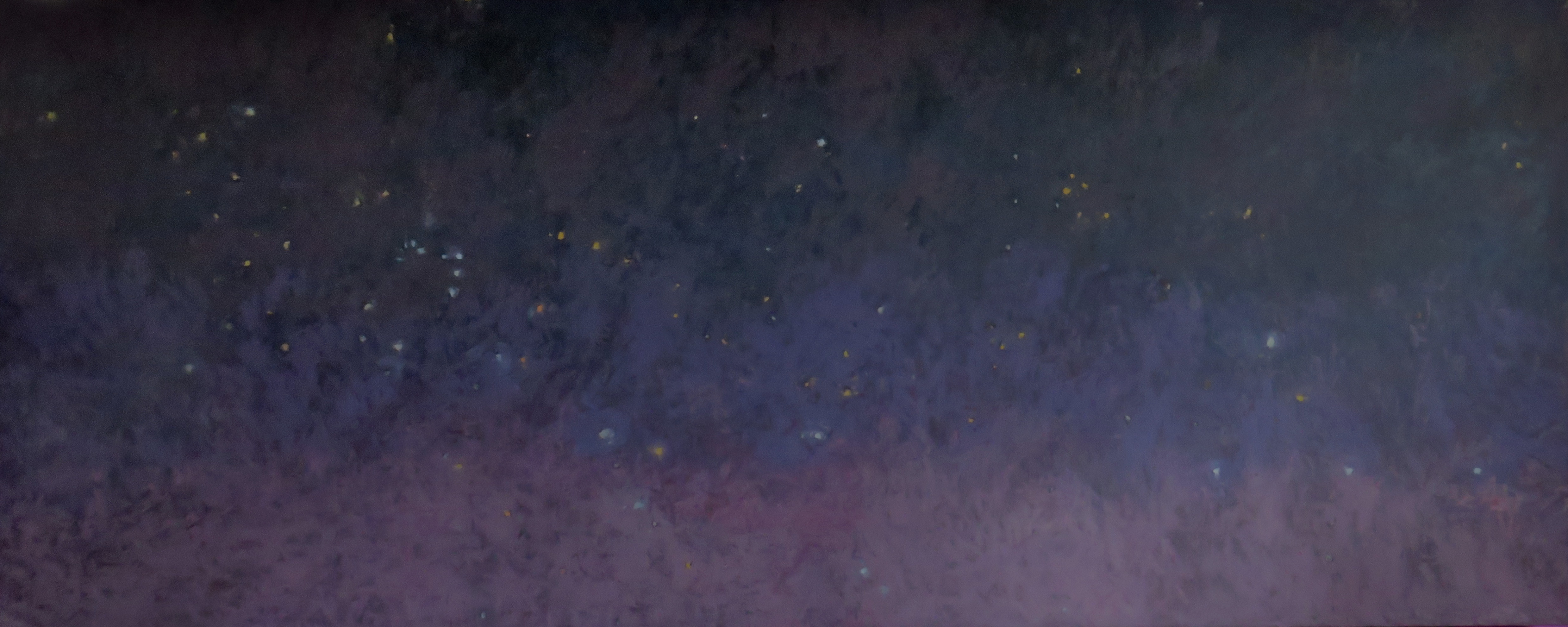 Kevin Robertson, Stars Over Wanerie, 2023, oil and wax on canvas, 121.3 x 301.5cm