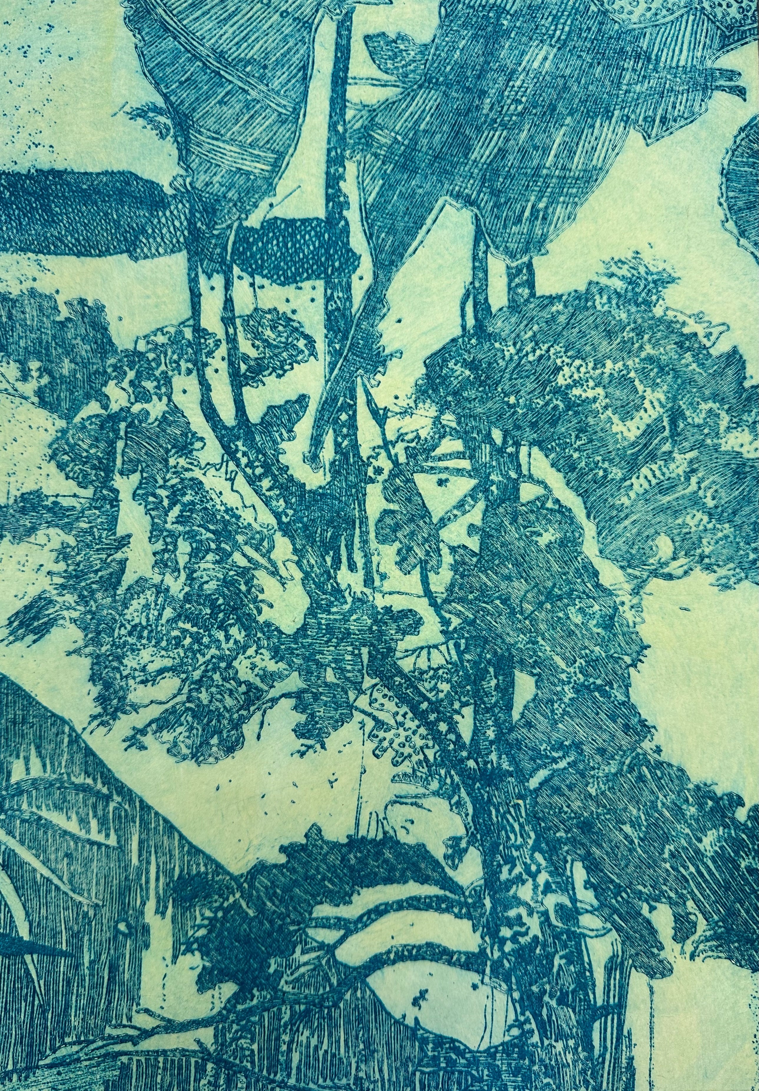 Antony Muia, Phantom, 2023, etching on hand-coloured paper, 32 x 22cm