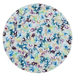 Cathy Blanchflower, Circa VI, 2023, acrylic and oil on board, 50 x 50cm