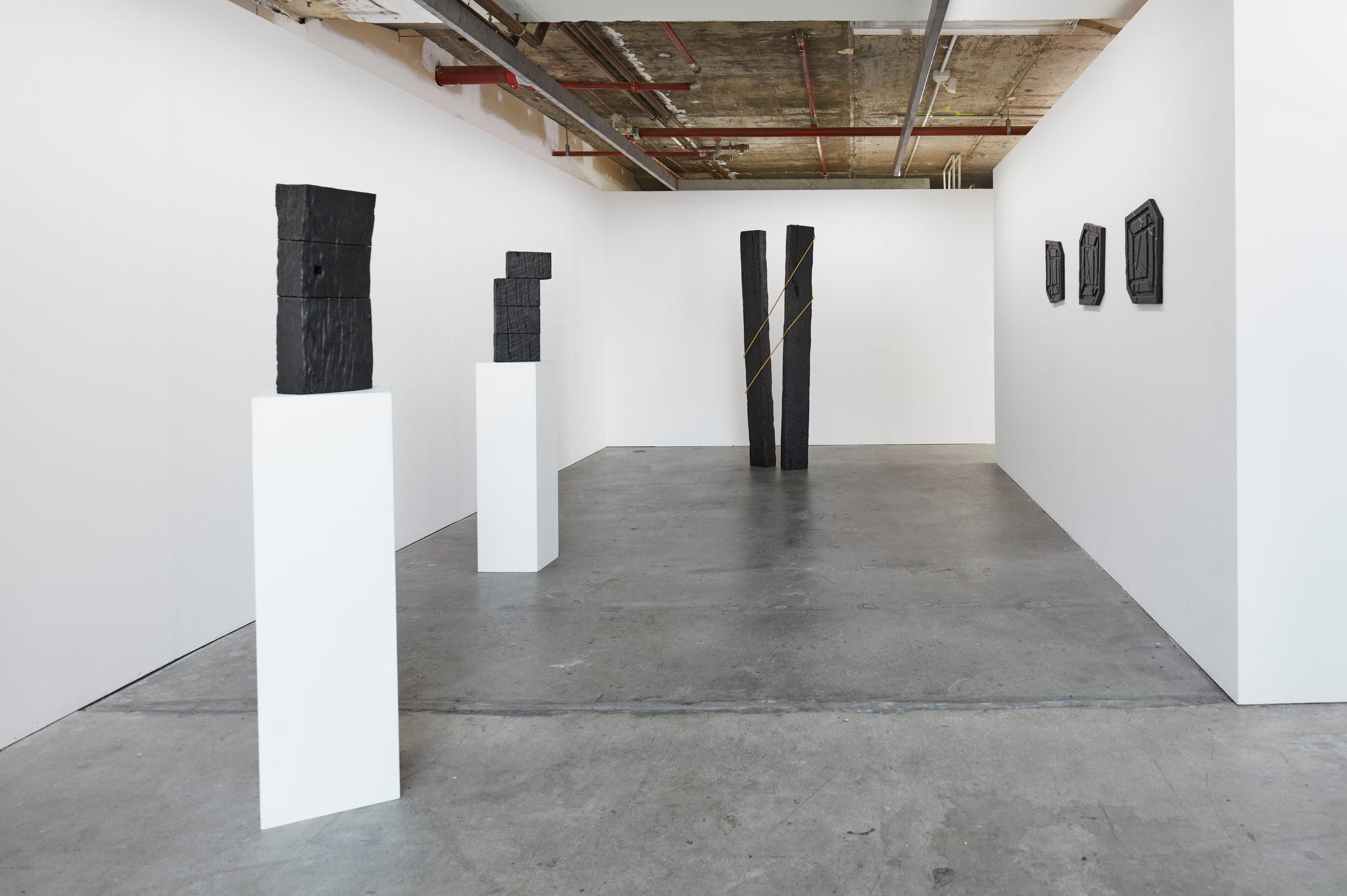 Jennifer Cochrane, Shadows, Sleepers and Self-Portraits 2023. Art Collective WA. Acorn Photo (1)