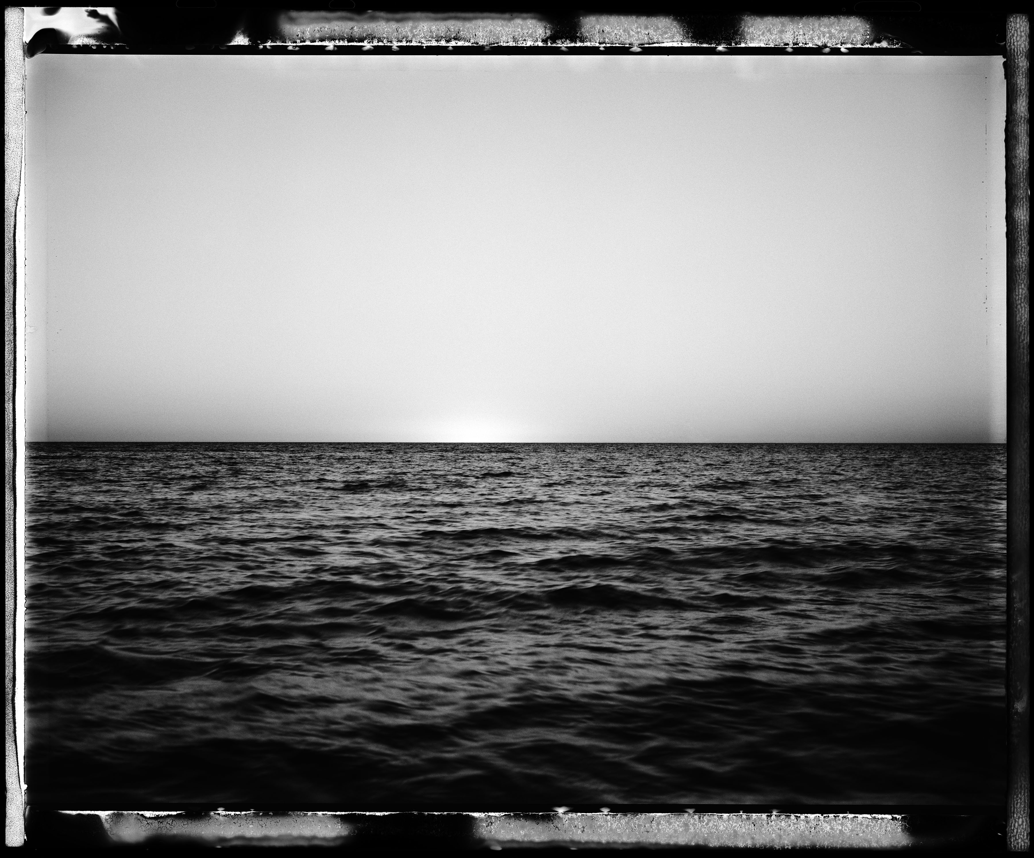 Patrick Brown, Shark Bay Plate 13, 2015, archival digital print, 34.2 x 55.9cm, ed. 5