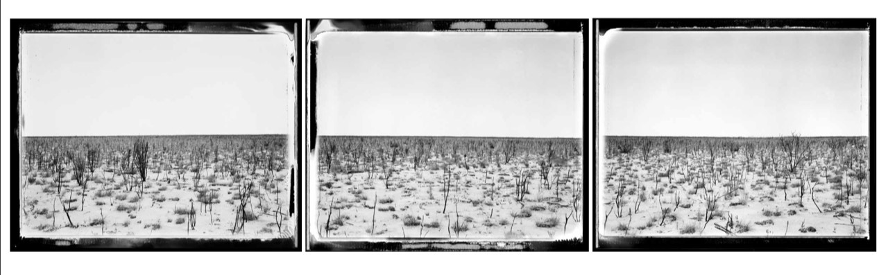 Patrick Brown, Boorabbin  Plates 9,10,11, 2009, archival digital print, 90 x 77cm each (3 panels), ed. 3