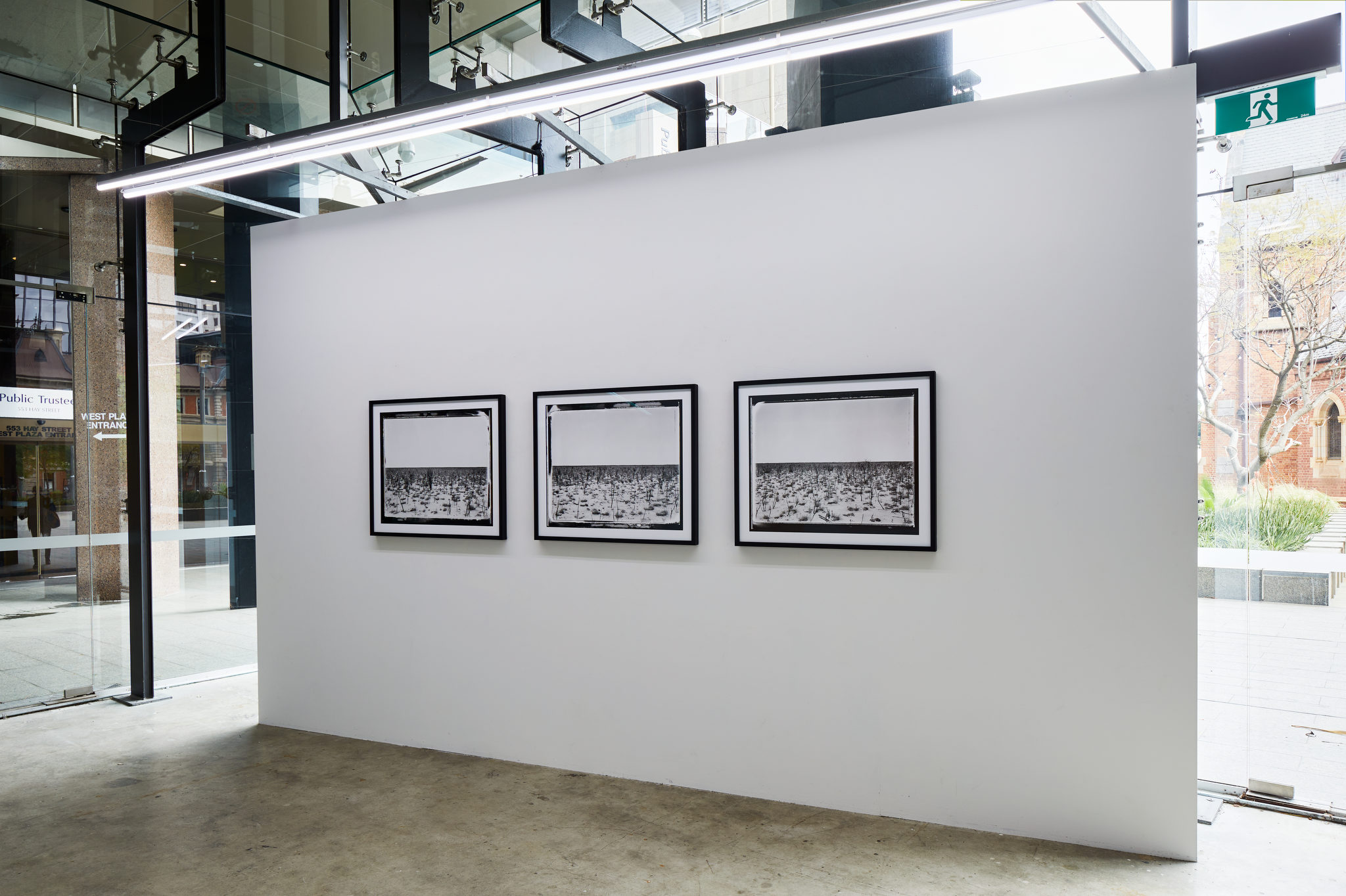 Patrick Brown, Hope. Art Collective WA September 2023.. Acorn Photo