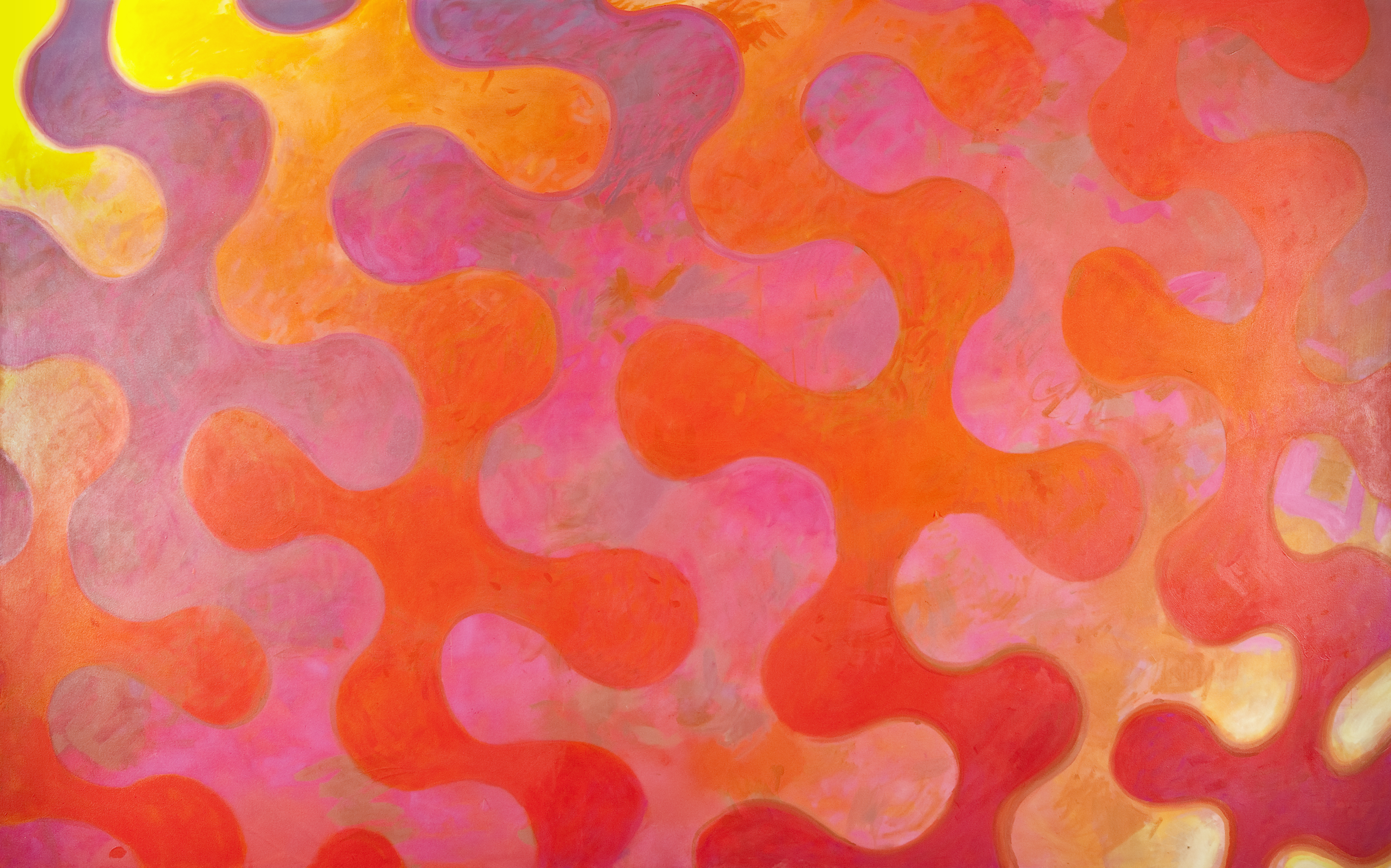 George Haynes, Ruby Rubato, 2004, oil on canvas, 170 x 270cm