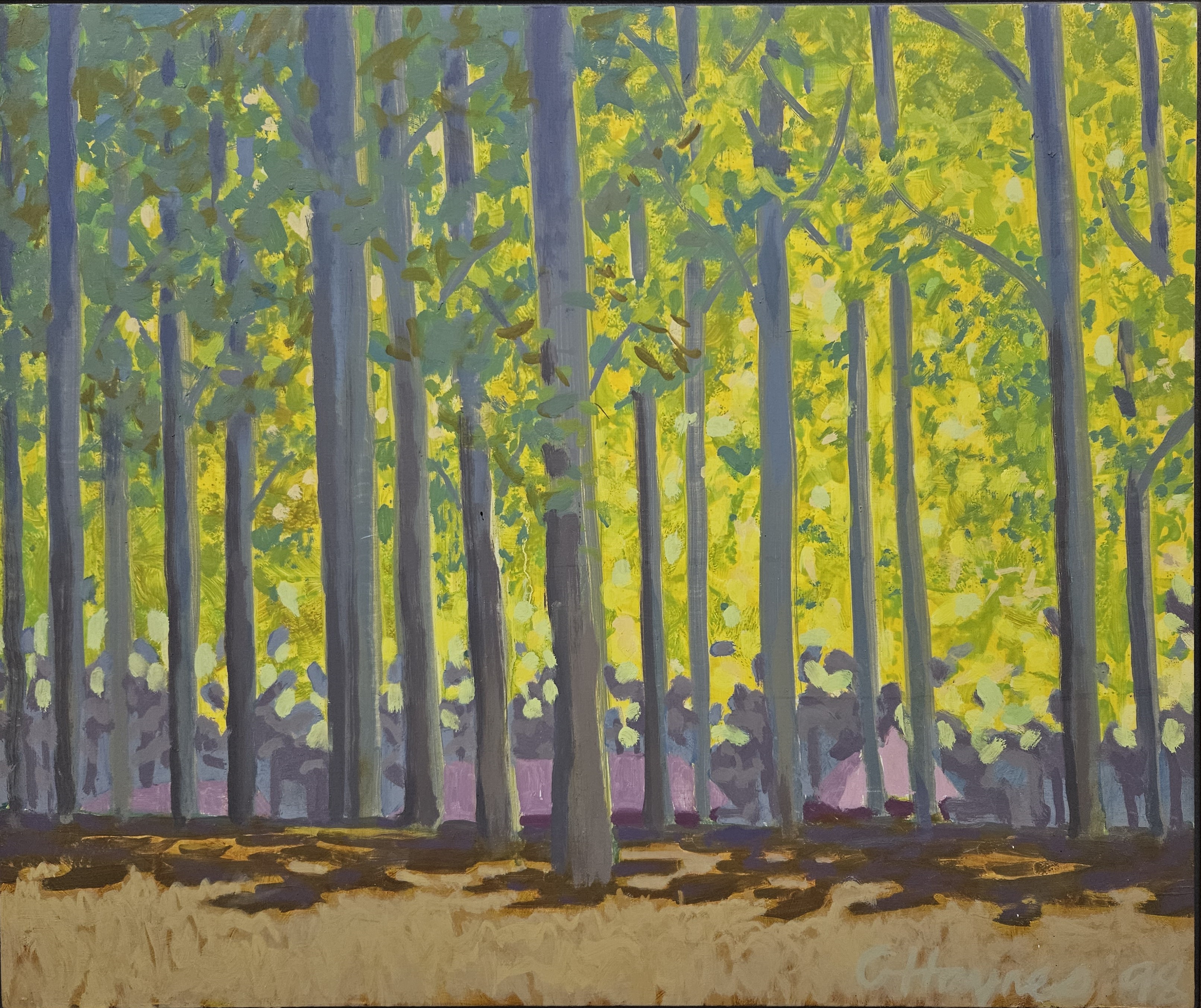 George Haynes, Aspen Poplar, Ferndale, 1998, oil on board, 50 x 60cm