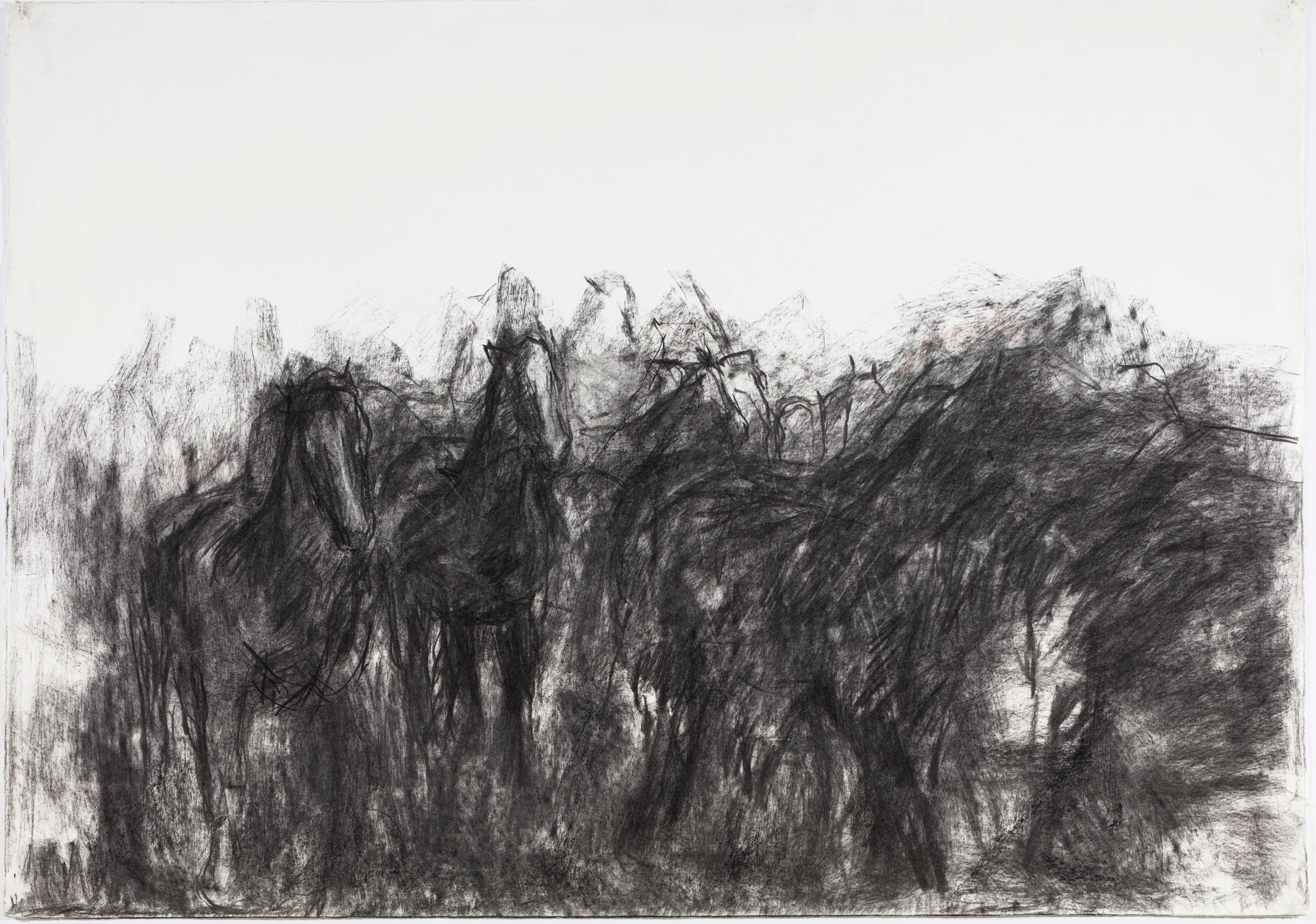 Angela Stewart, The Walers 1915 #3, 2002, charcoal and pastel on Arches paper, 76 x 108cm