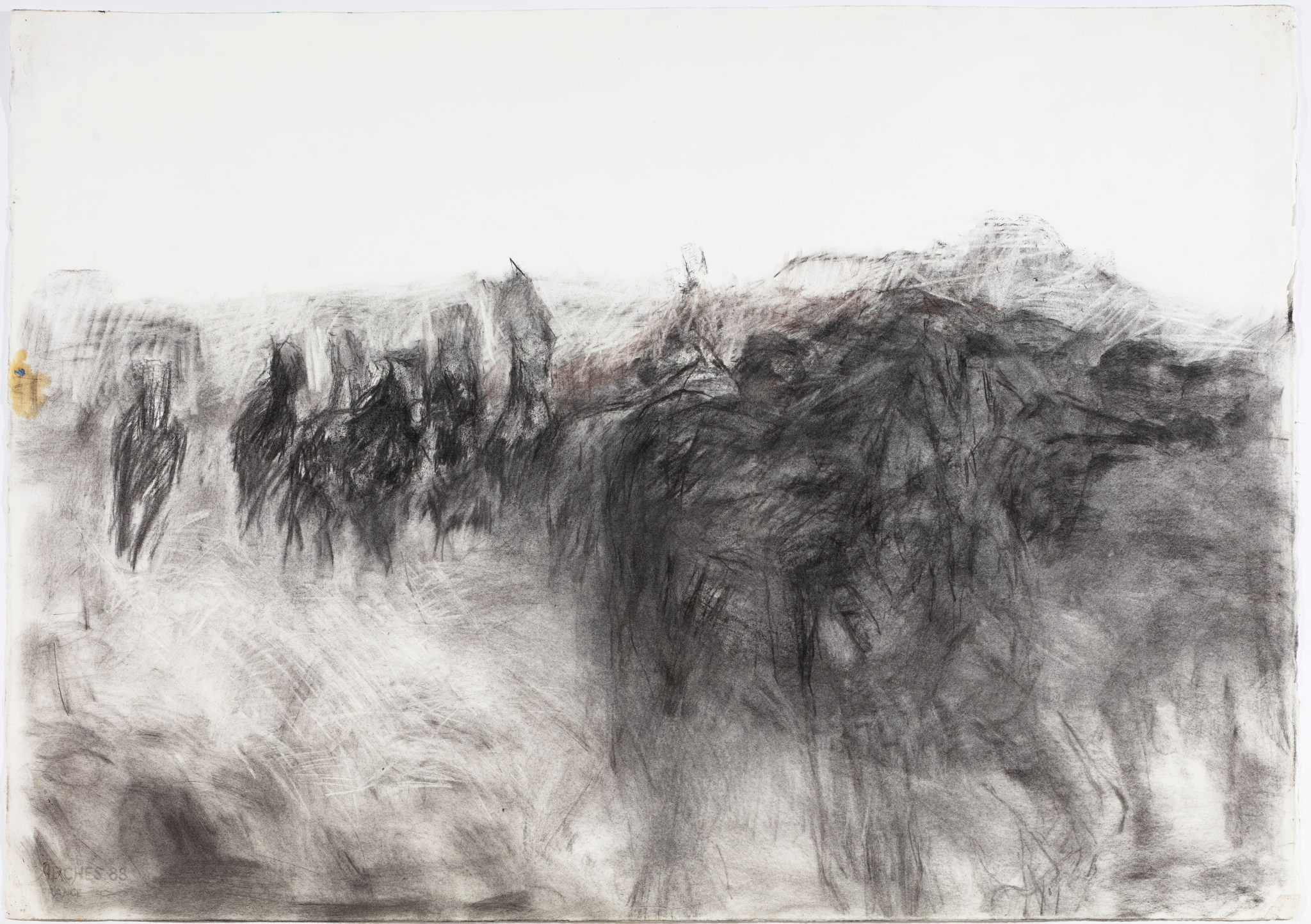Angela Stewart, The Walers 1915 #1, 2002, charcoal and pastel on Arches paper, 76 x 108cm