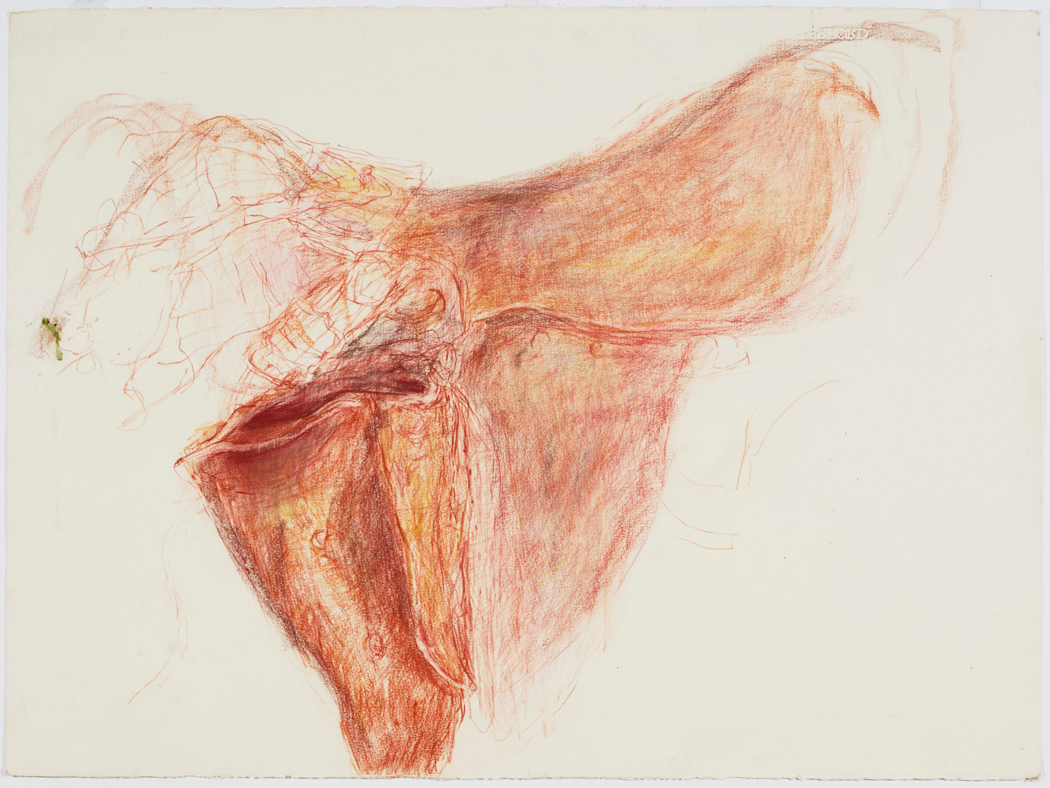 Angela Stewart, Light Horse 1916 #3, 2022, pencil, pastel, Conté crayon and watercolour on paper, 56 x 76cm