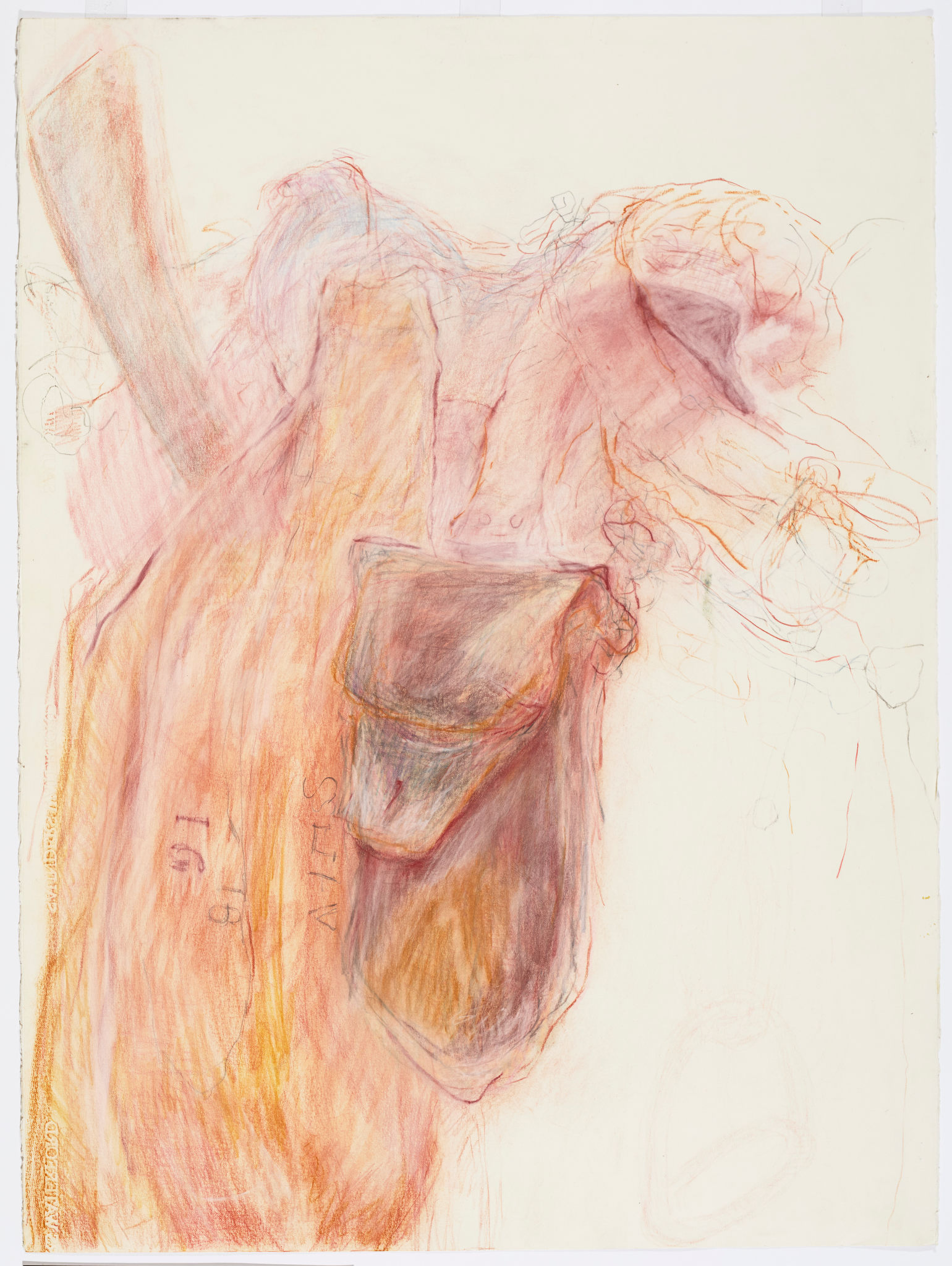 Angela Stewart, Light Horse 1916 #5, 2022, pencil, pastel, Conté crayon and watercolour on Saunders Waterford paper, 76 x 56cm