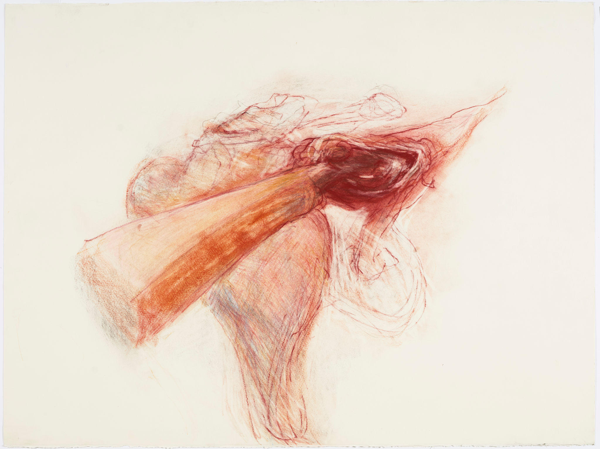 Angela Stewart, Light Horse 1916 #2, 2022, pencil, pastel, Conté crayon and watercolour on Saunders Waterford paper, 56 x 76cm