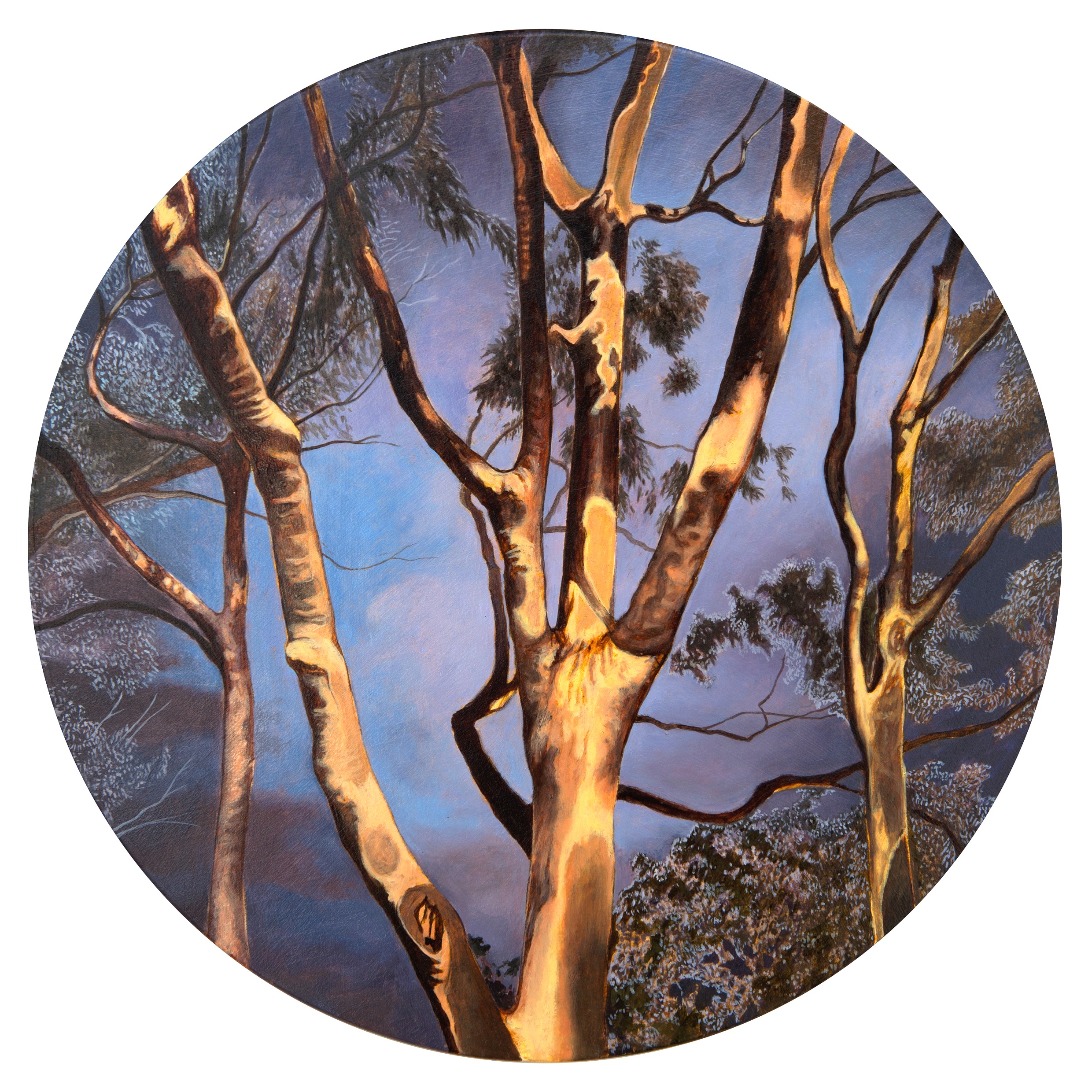 Robert Gear, Something Wrestled from Nature, 2024, oil on board, 30 x 30cm