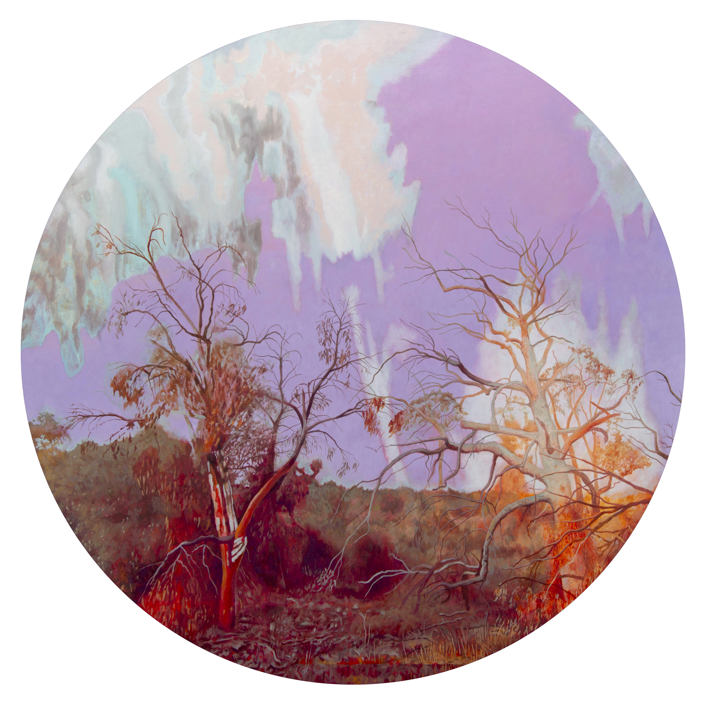 Robert Gear, Transcendence, 2024, oil on board, 64 x 64cm