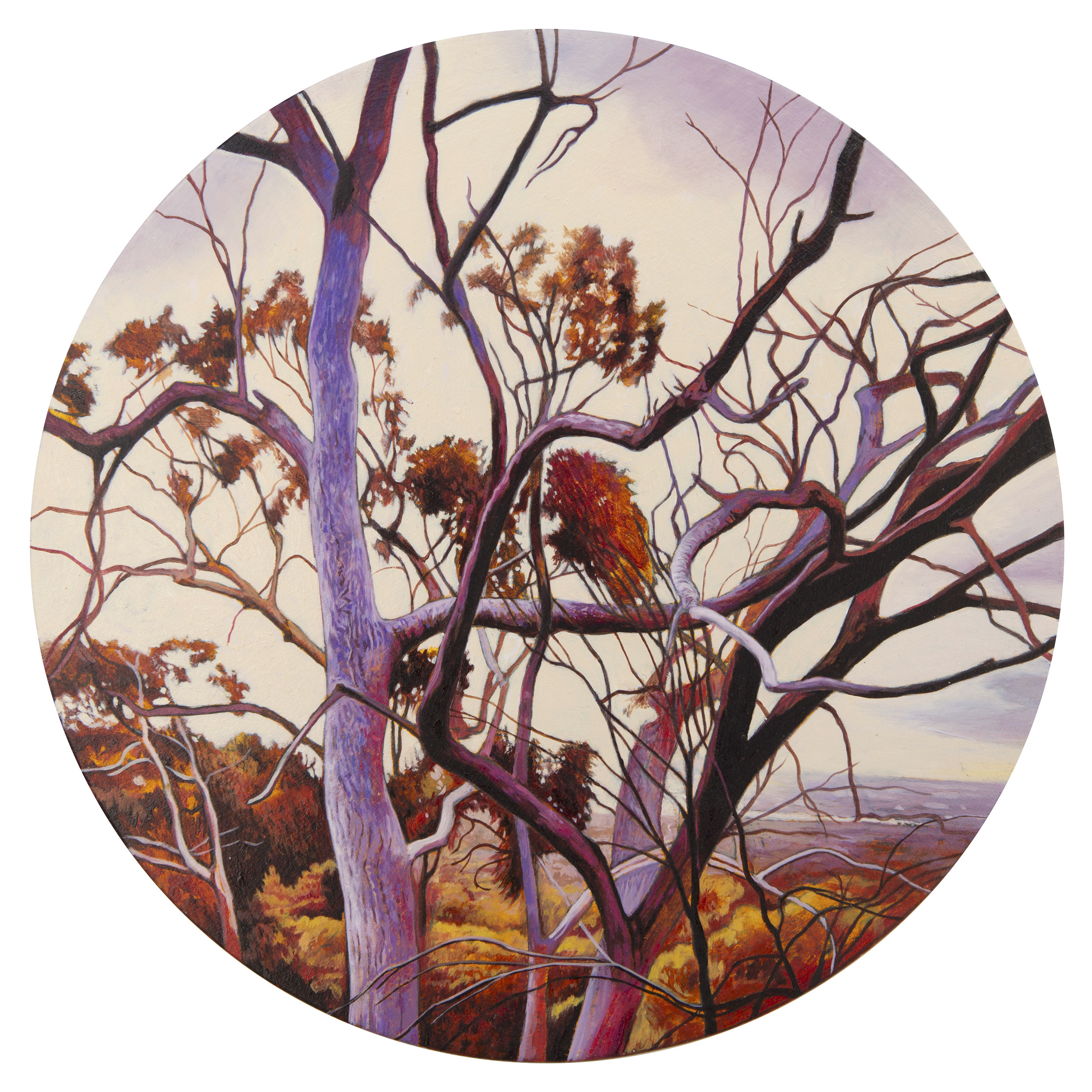 Robert Gear, Fragrant Dusk, 2024, oil on board, 30 x 30cm