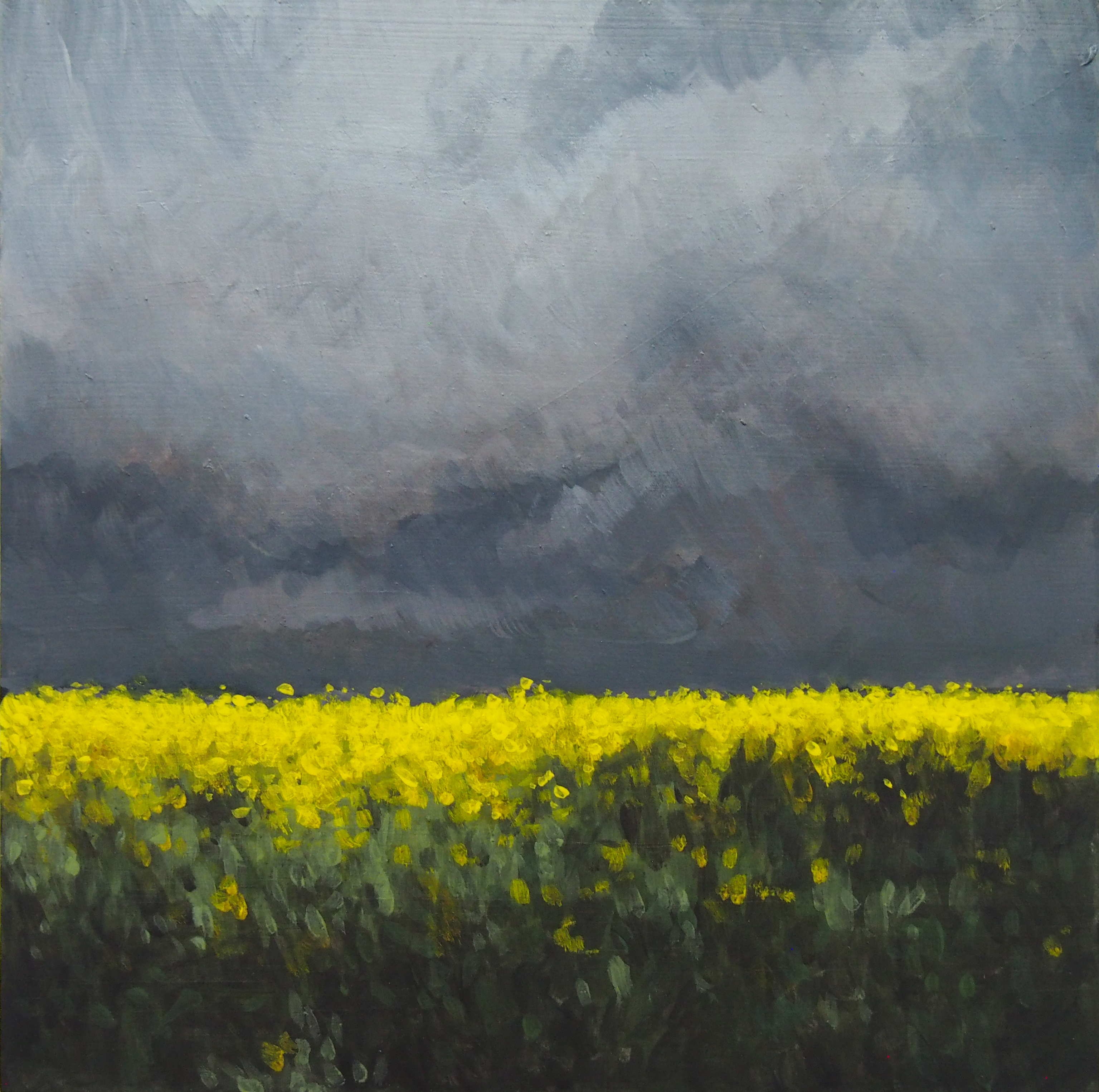 Clare McFarlane, Soft Darkening Gold, 2023, acrylic on board, 20 x 20cm