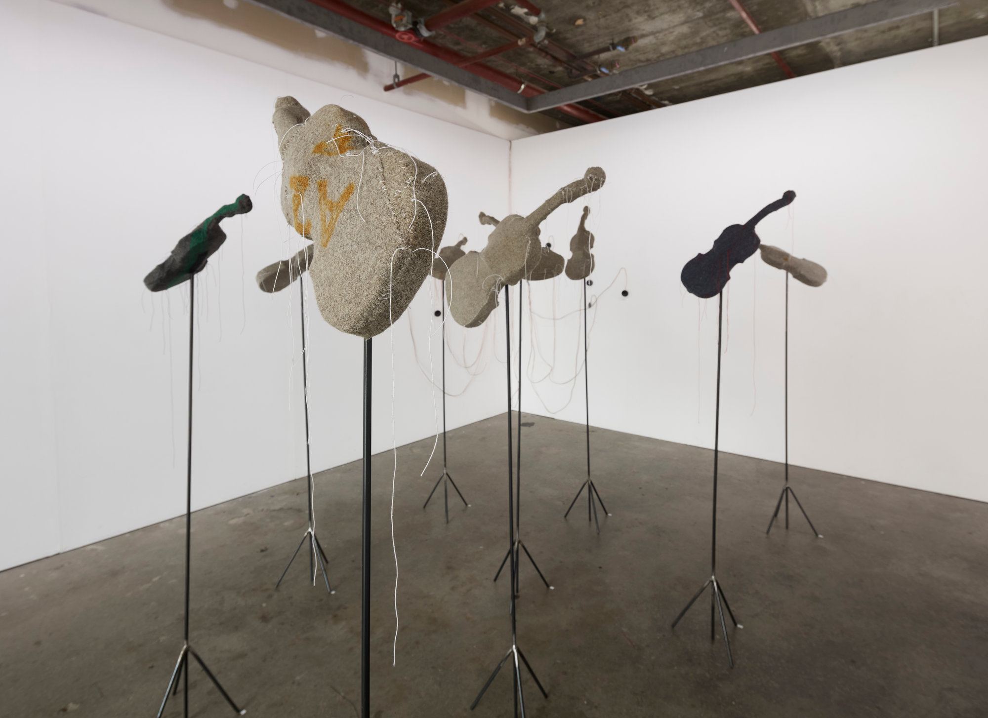 Olga Cironis, Noise in This Silence, 2024. Acorn Photo (2)