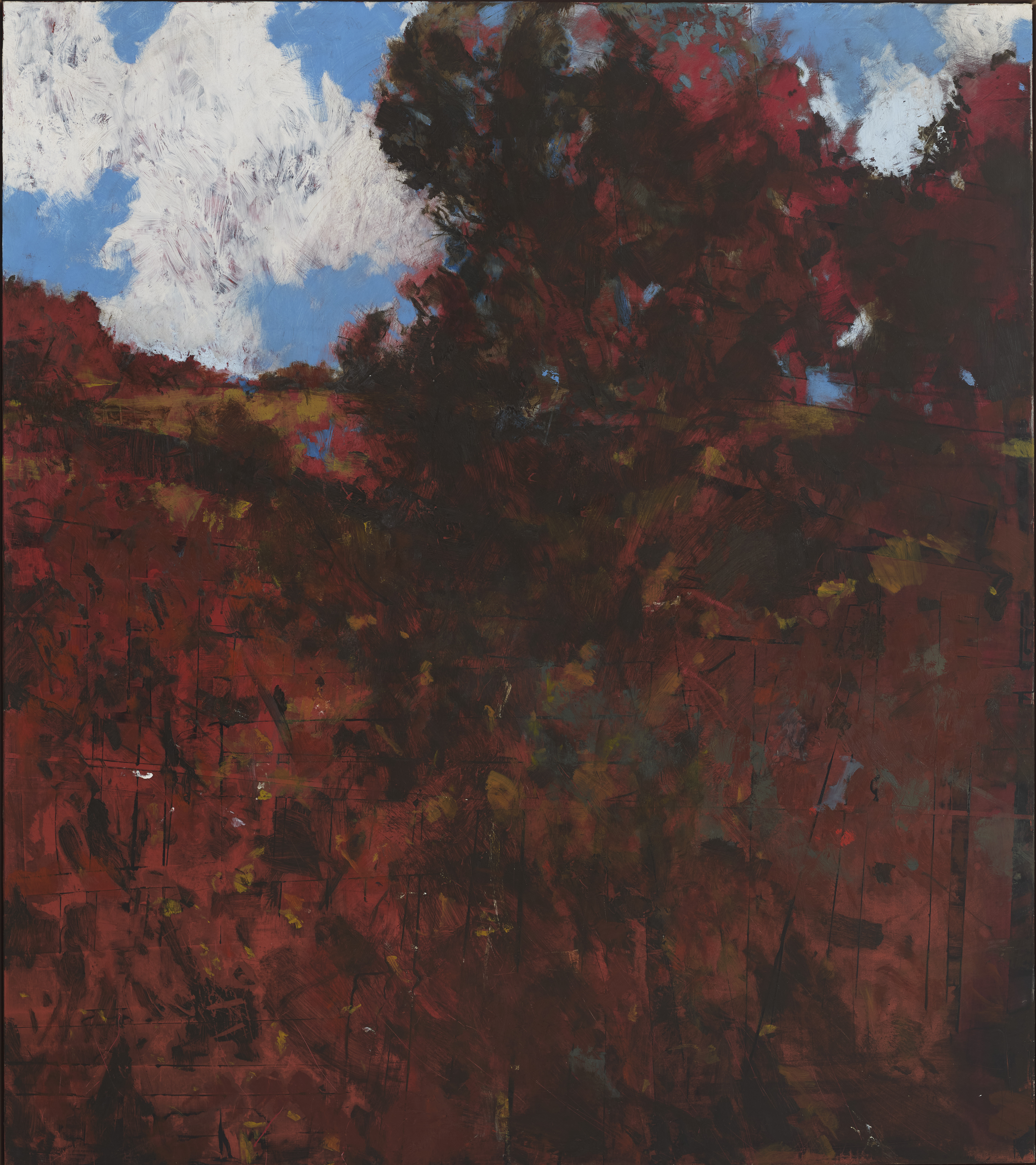 Merrick Belyea, Nanga Brook, 2024, oil on aluminium, 124 x 110cm