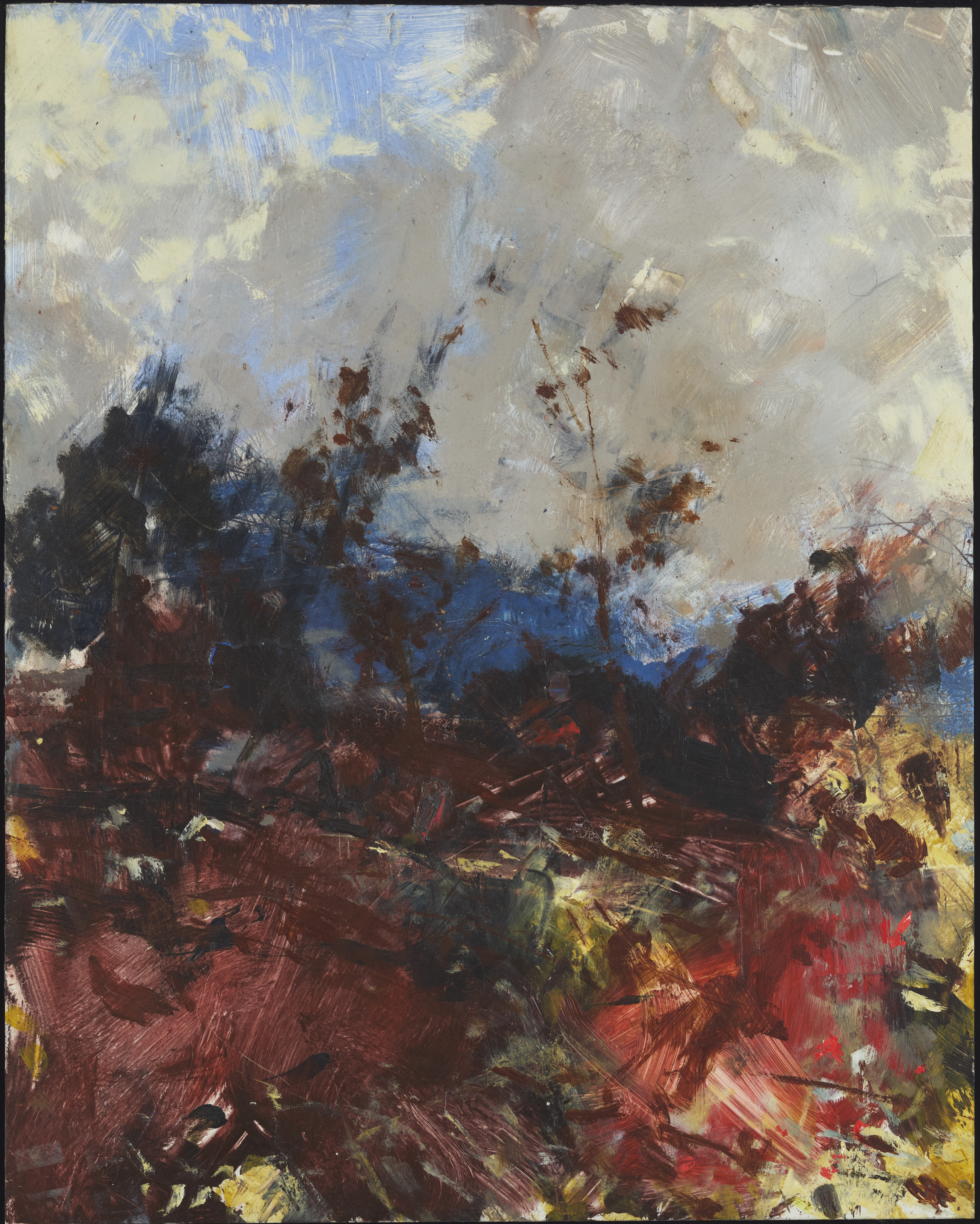 Merrick Belyea, Darling Range Near Greenmount, 2024, oil on aluminium, 49.5 x 39.5cm