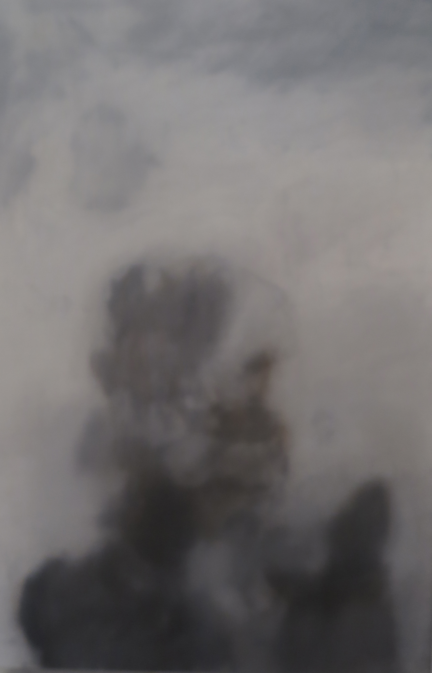 Paul Uhlmann, Becoming Cloud, Becoming Air, 2024, oil on canvas, 91 x 61cm