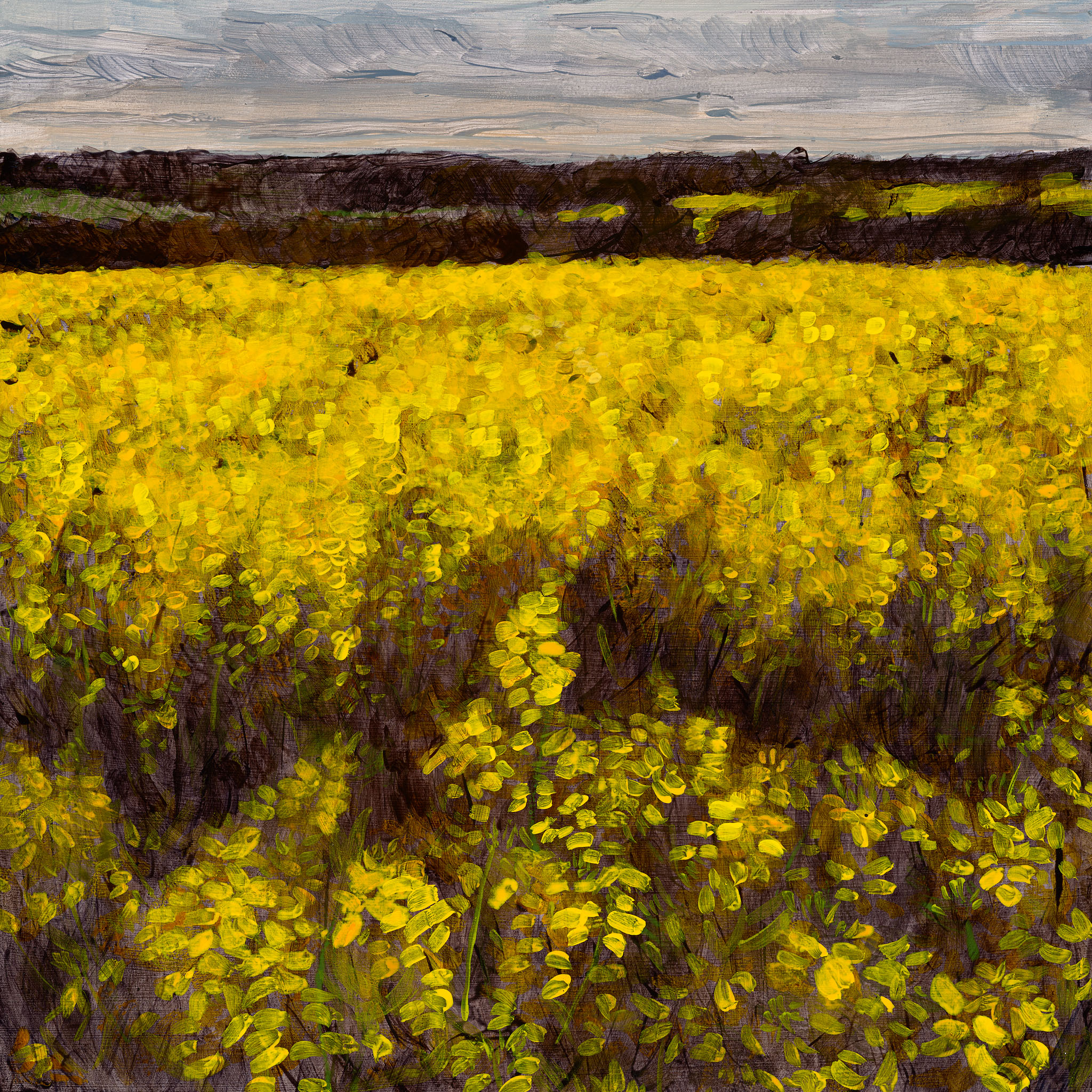 Clare McFarlane, The Dark Gold II, 2024, acrylic on board, 30 x 30cm