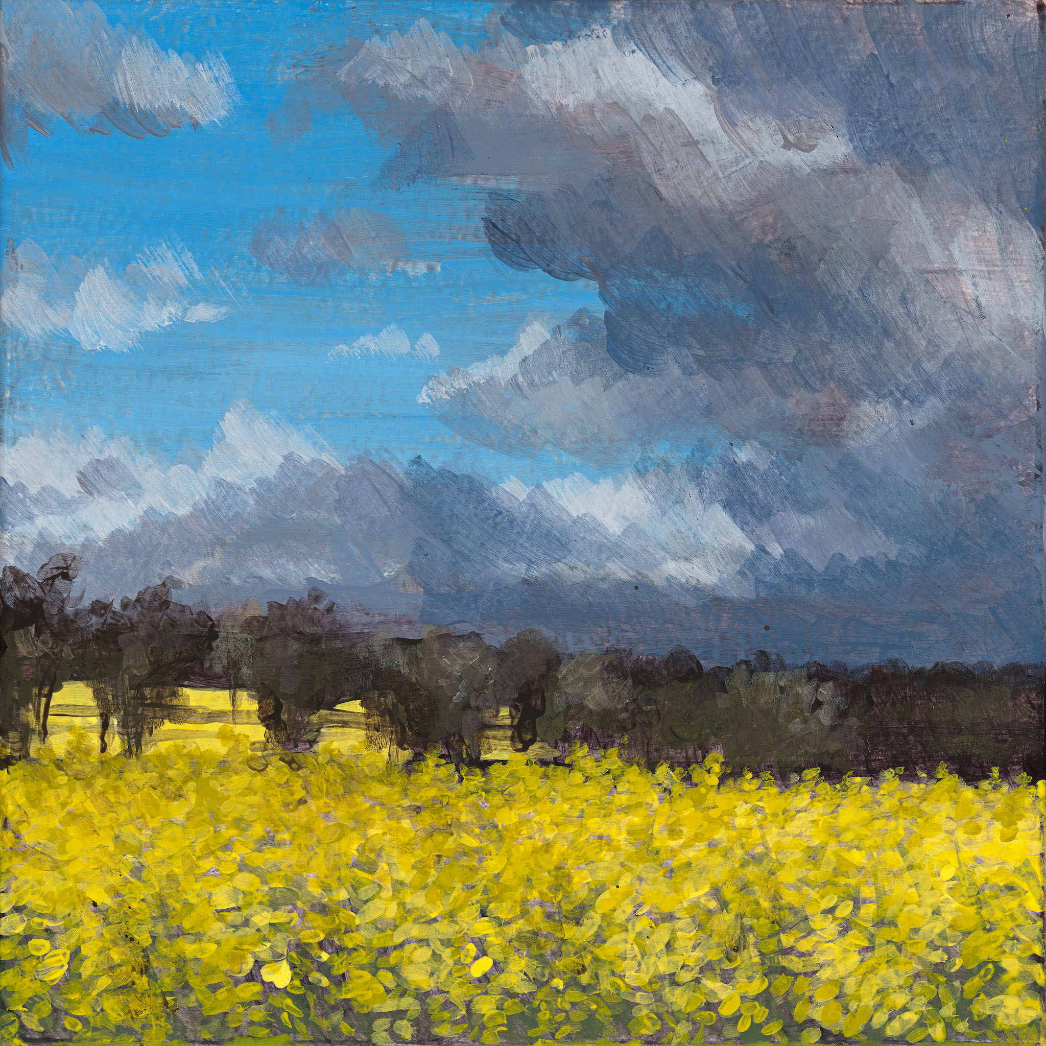 Clare McFarlane, The Darkening Gold IV, 2024, acrylic on board, 20 x 20cm