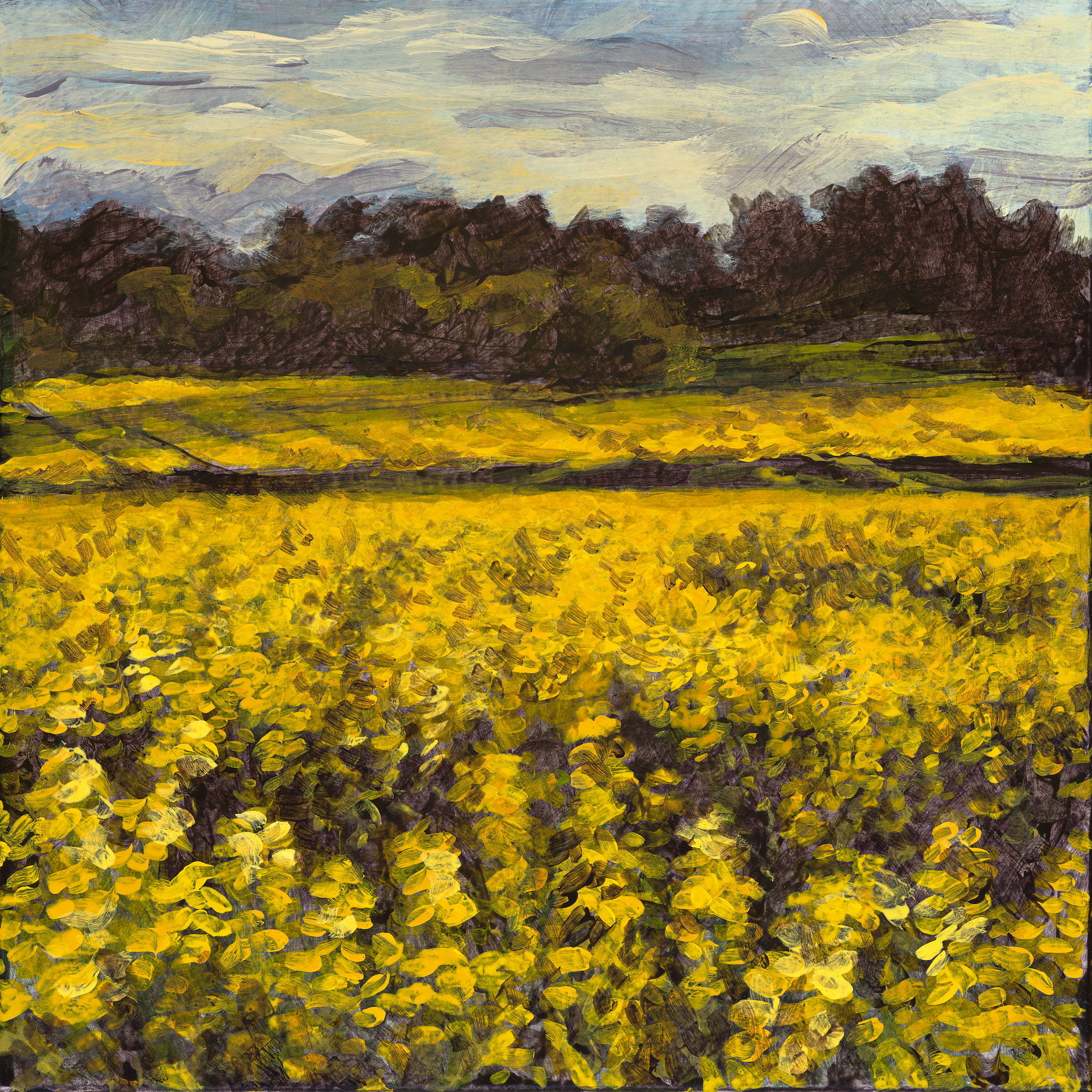 Clare McFarlane, The Darkening Gold V, 2024, acrylic on board, 20 x 20cm