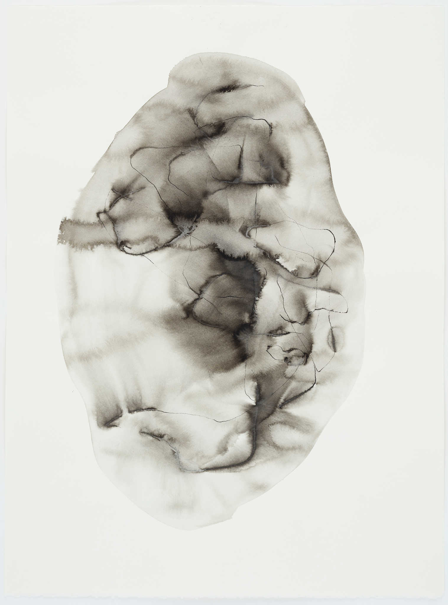 Vanessa Russ, Unseasonable Waterhole with Lillies 5, 2022, Indian ink on Fabriano paper, 56 x 76cm