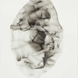 Vanessa Russ, Unseasonable Waterhole with Lillies 5, 2022, Indian ink on Fabriano paper, 56 x 76cm